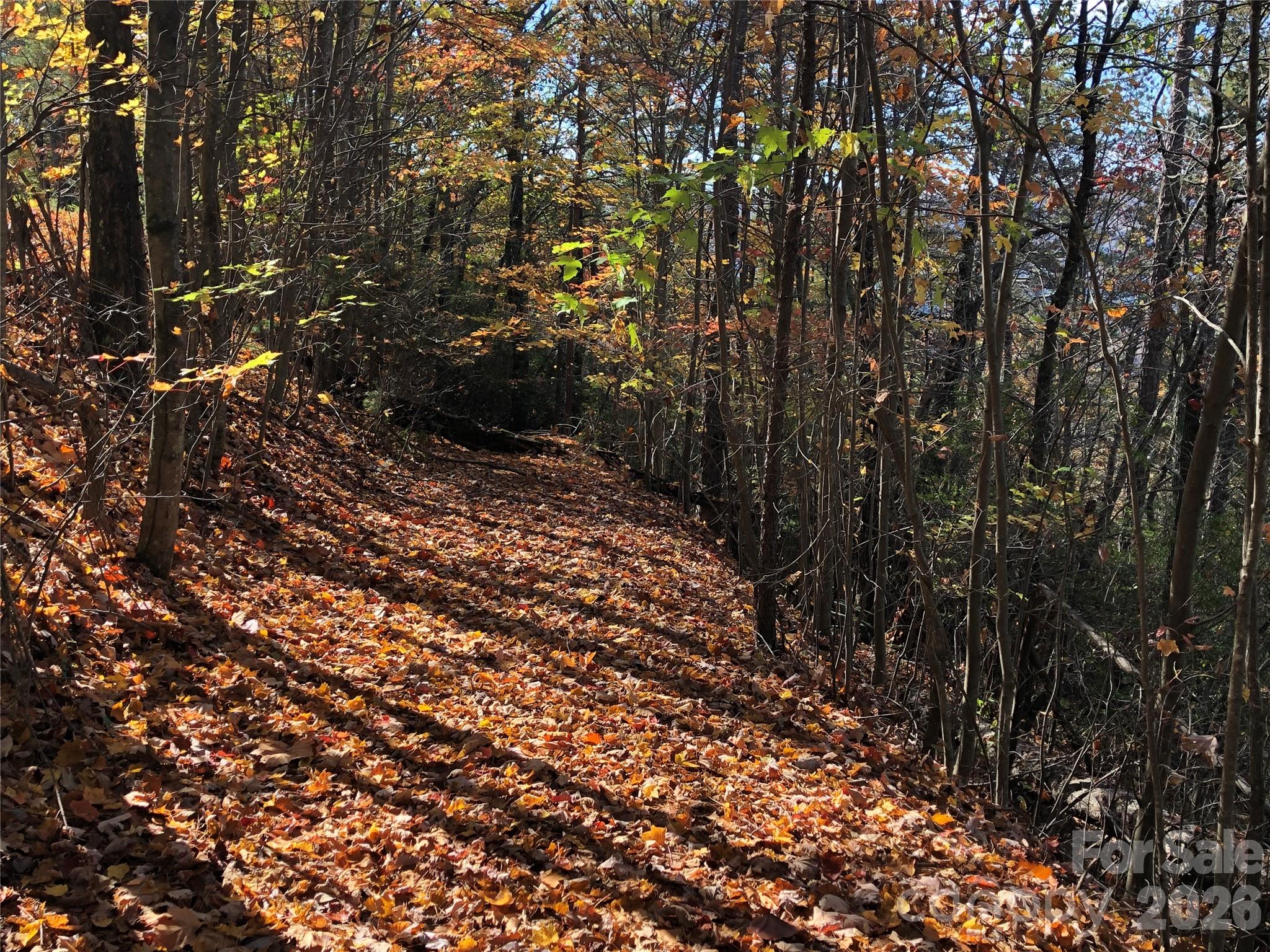 Buck Mountain - Land