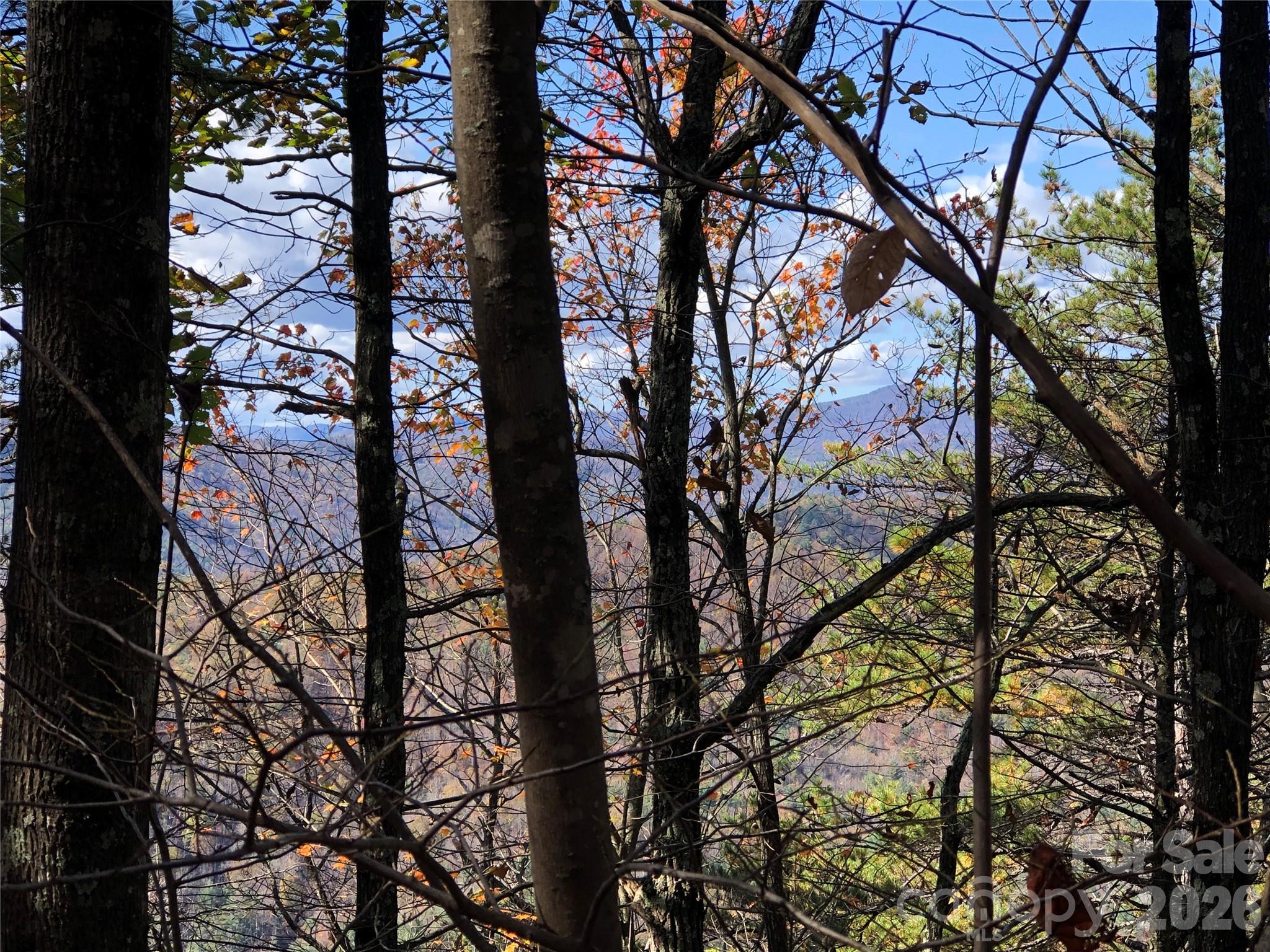 Buck Mountain - Land