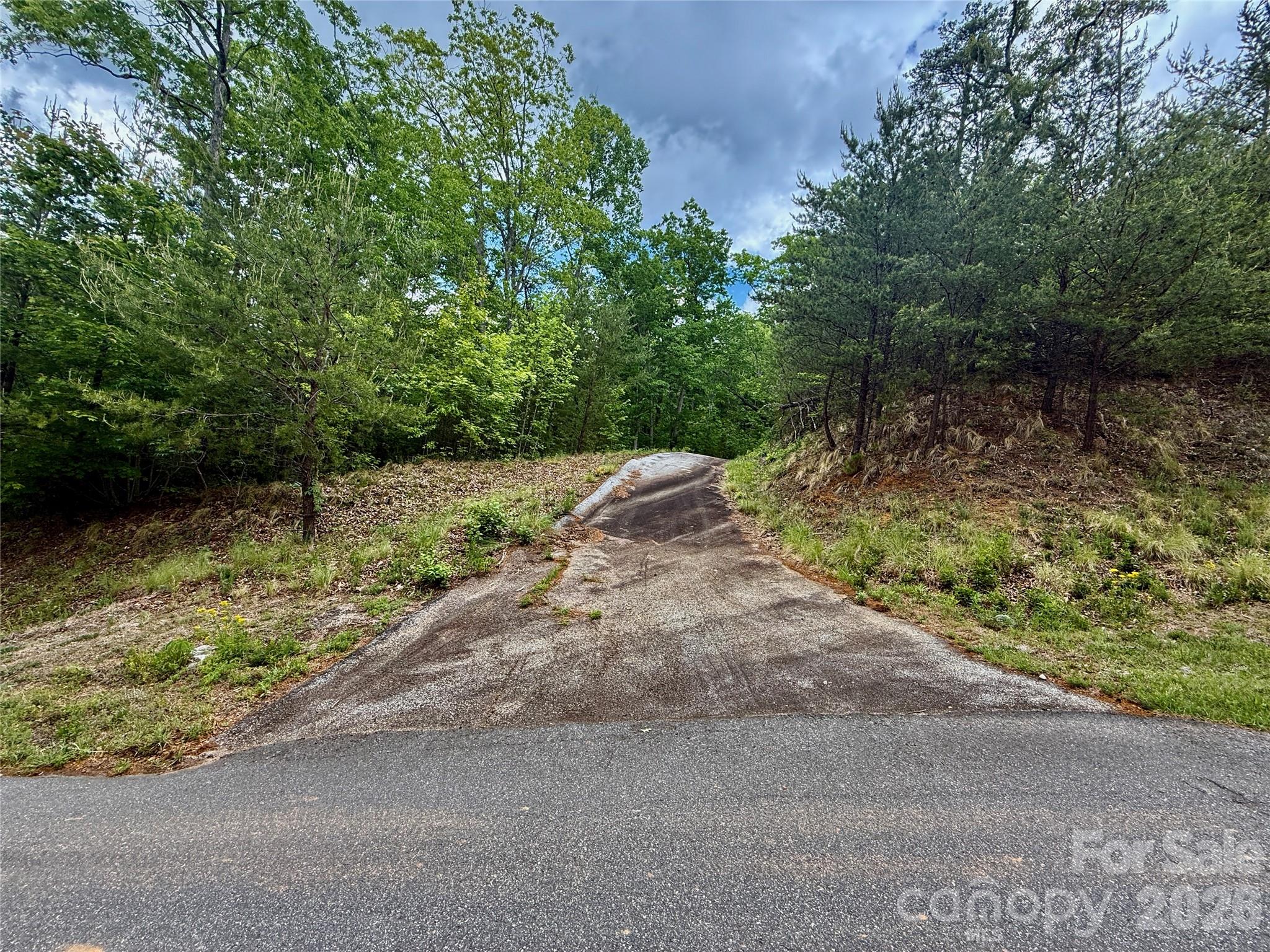 274 Bills Mountain Trail 274