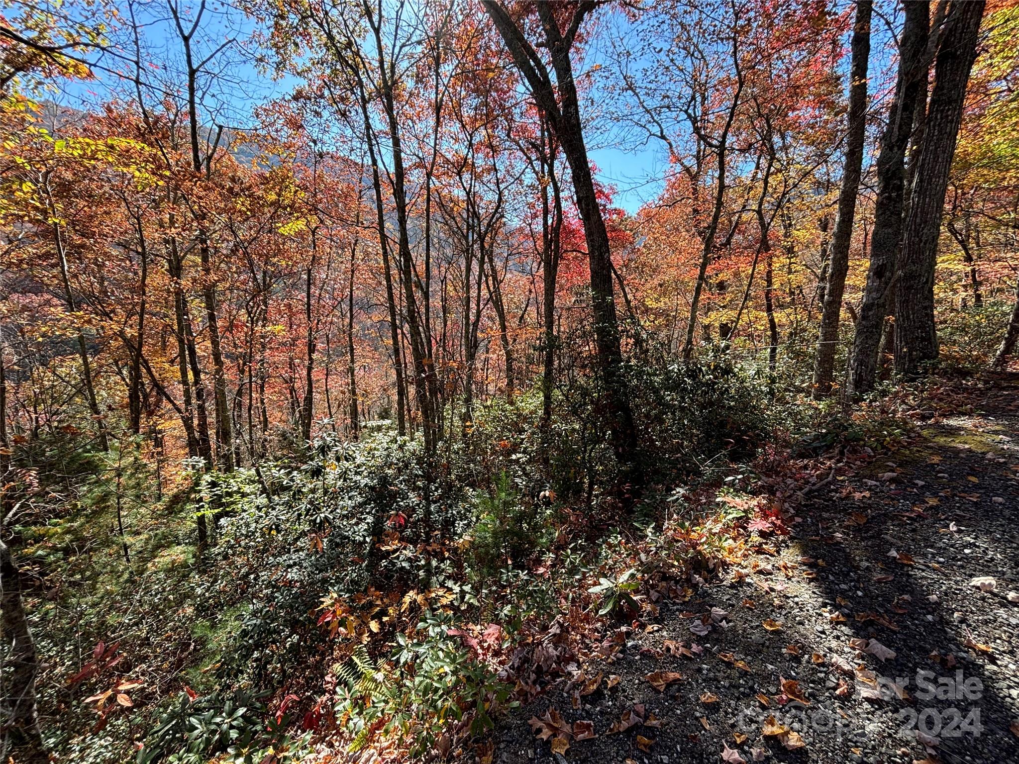 Lot 33 Coppermine Ridge 33