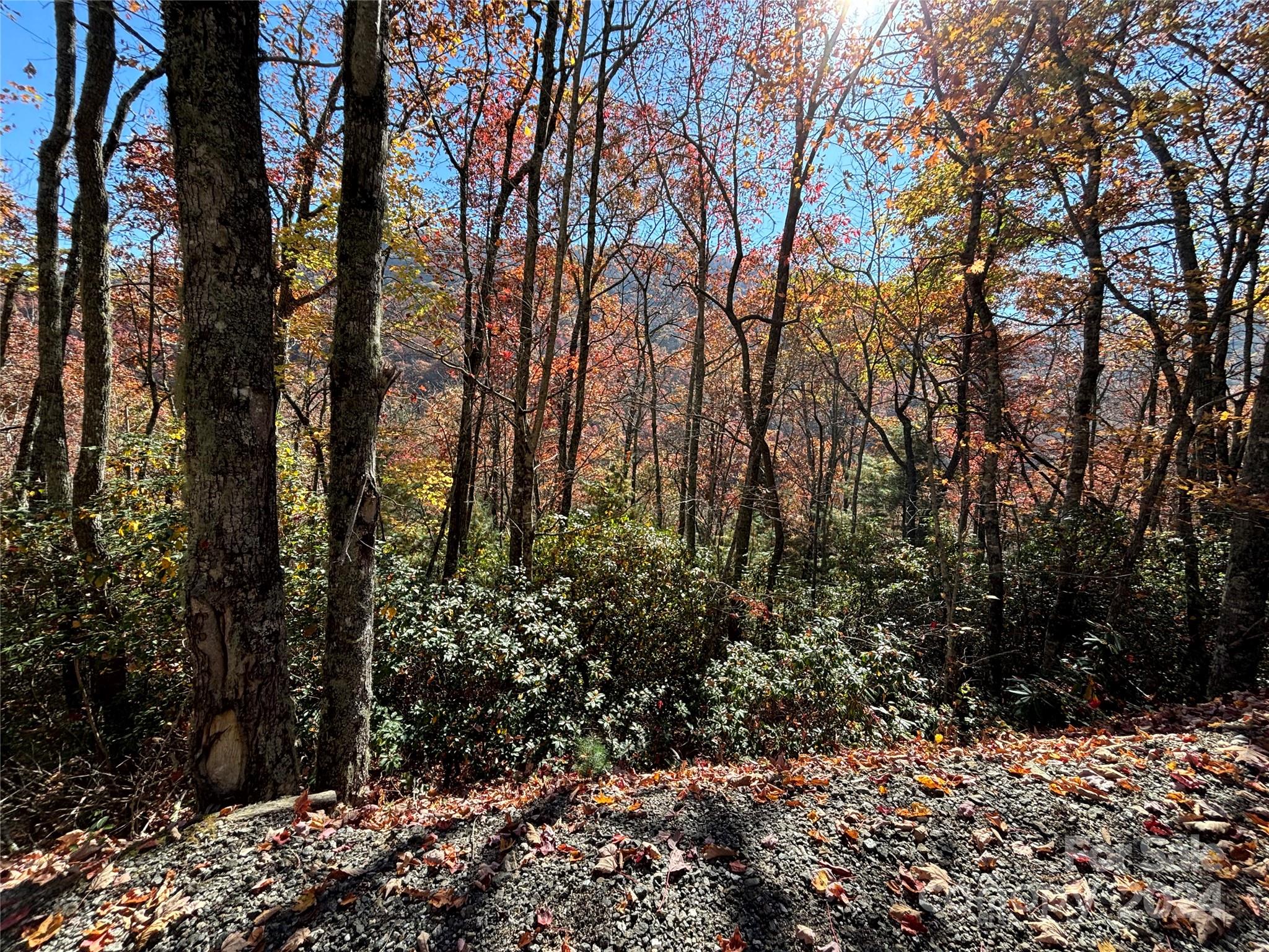 Lot 33 Coppermine Ridge 33