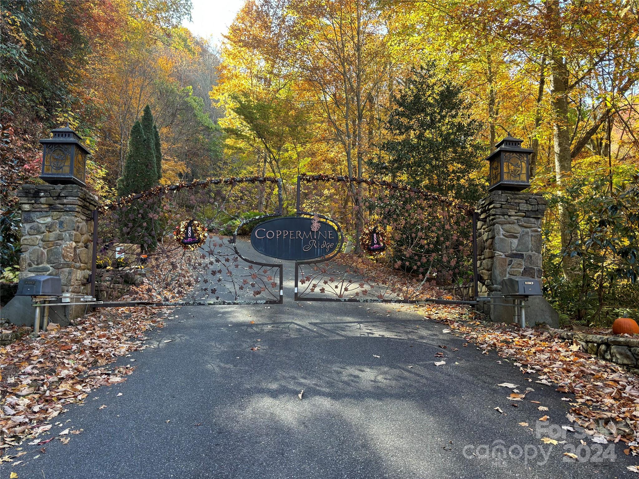 Coppermine Ridge - Land