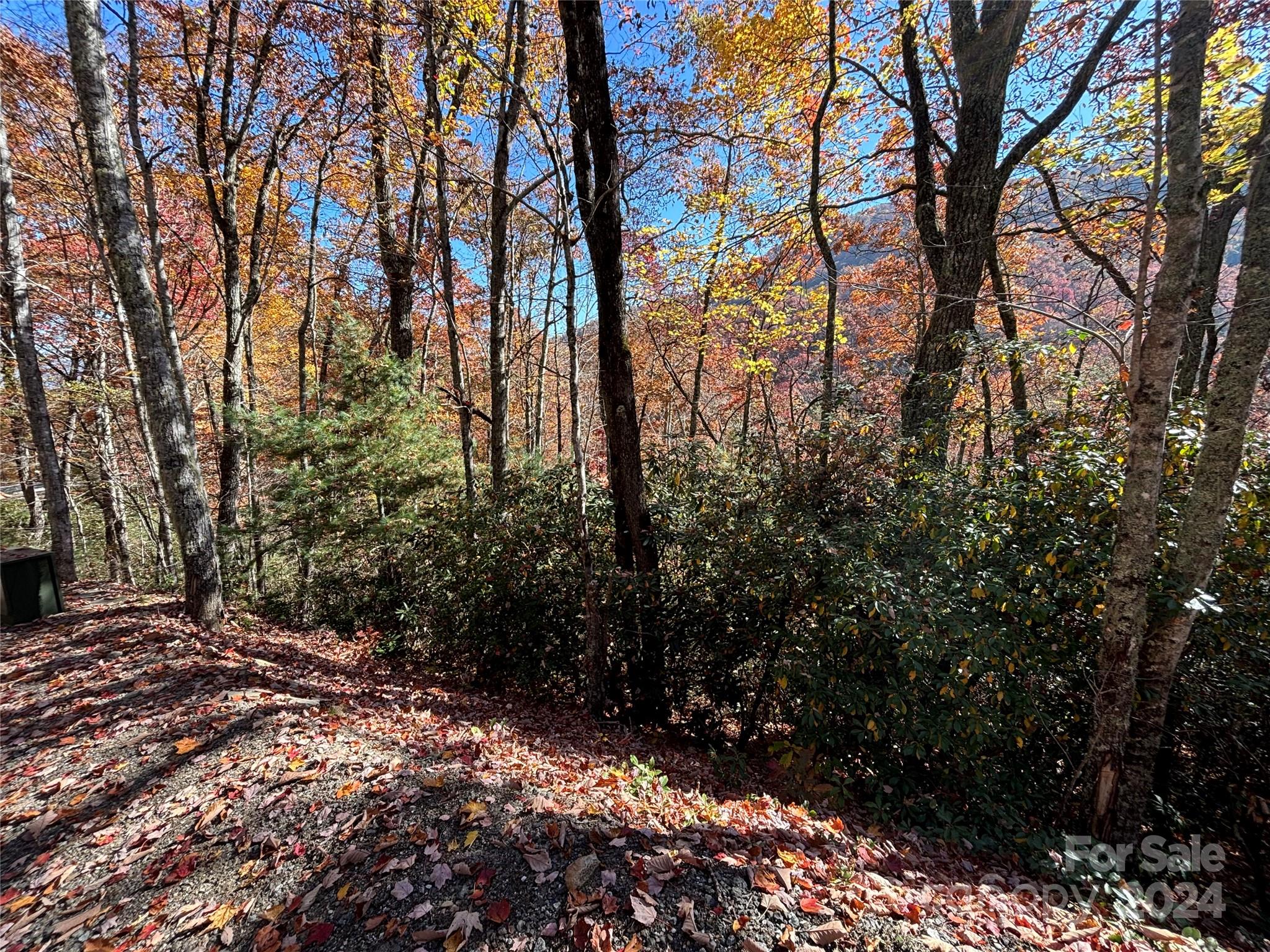 Coppermine Ridge - Land