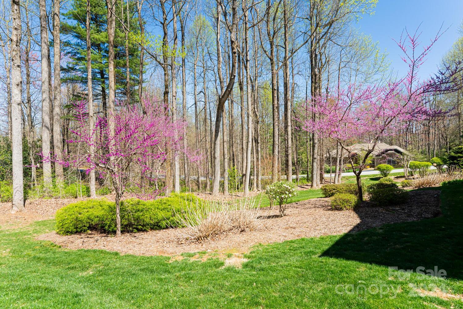 Kenmure - Residential