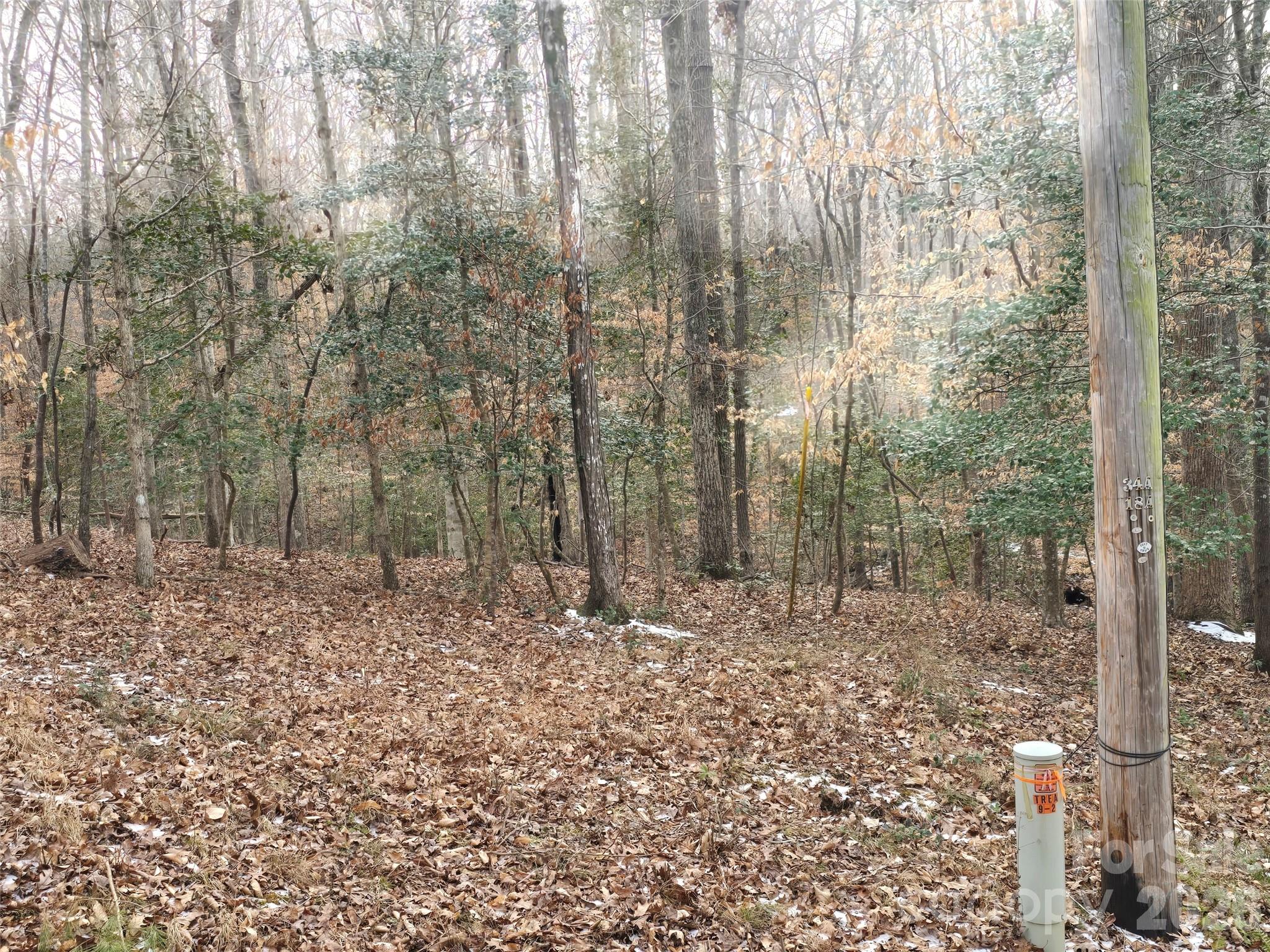 Carolina Forest - Land