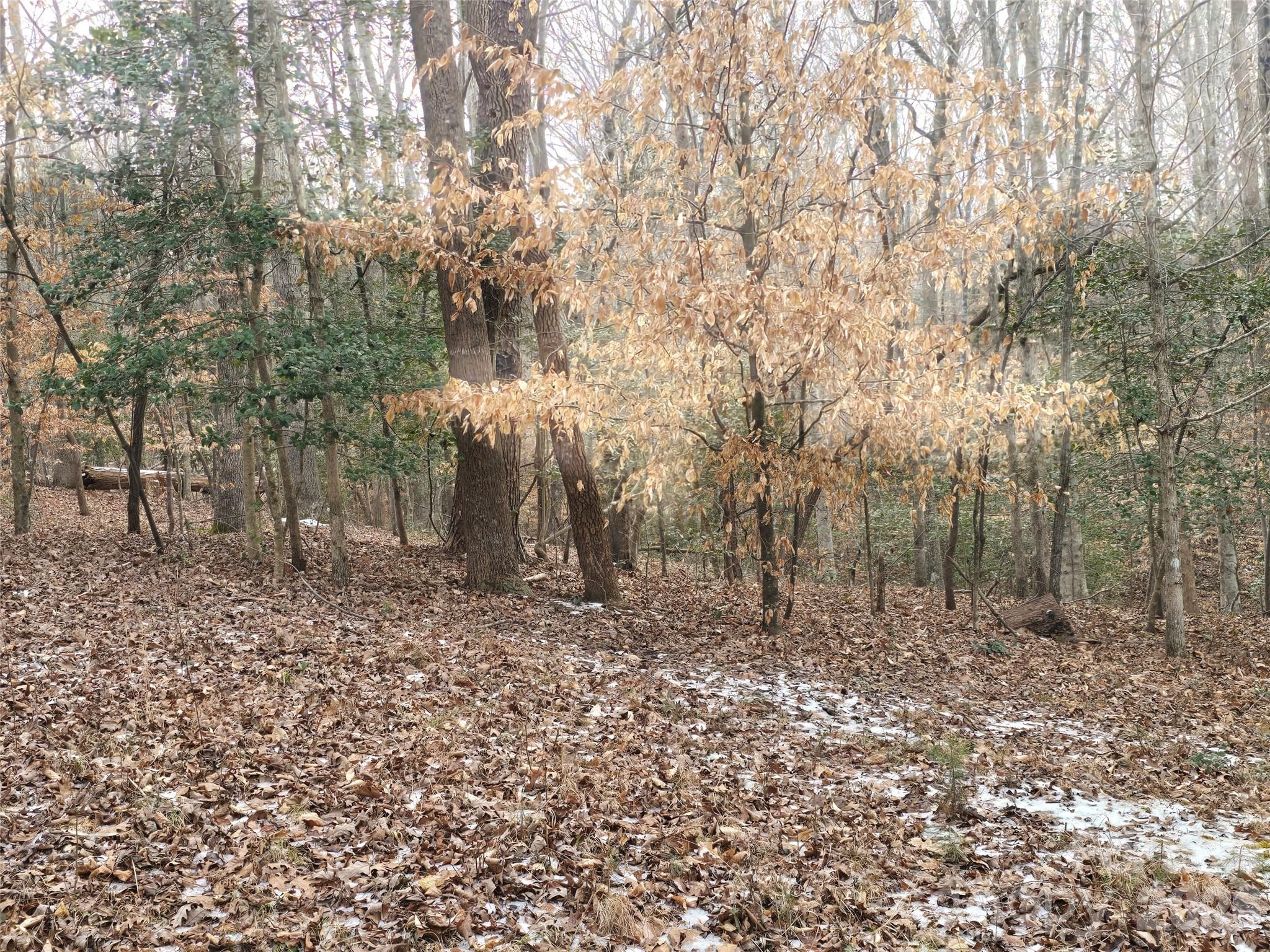 Carolina Forest - Land