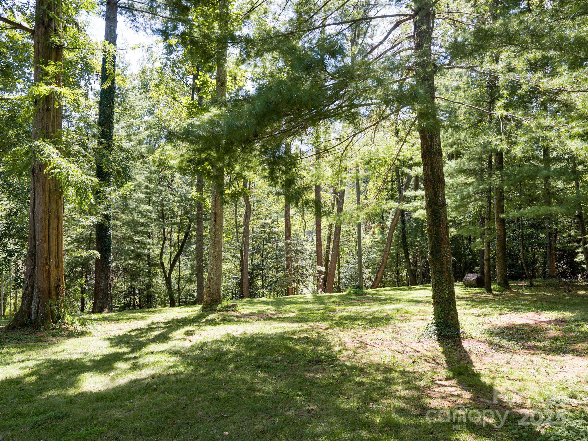 Biltmore Forest - Residential