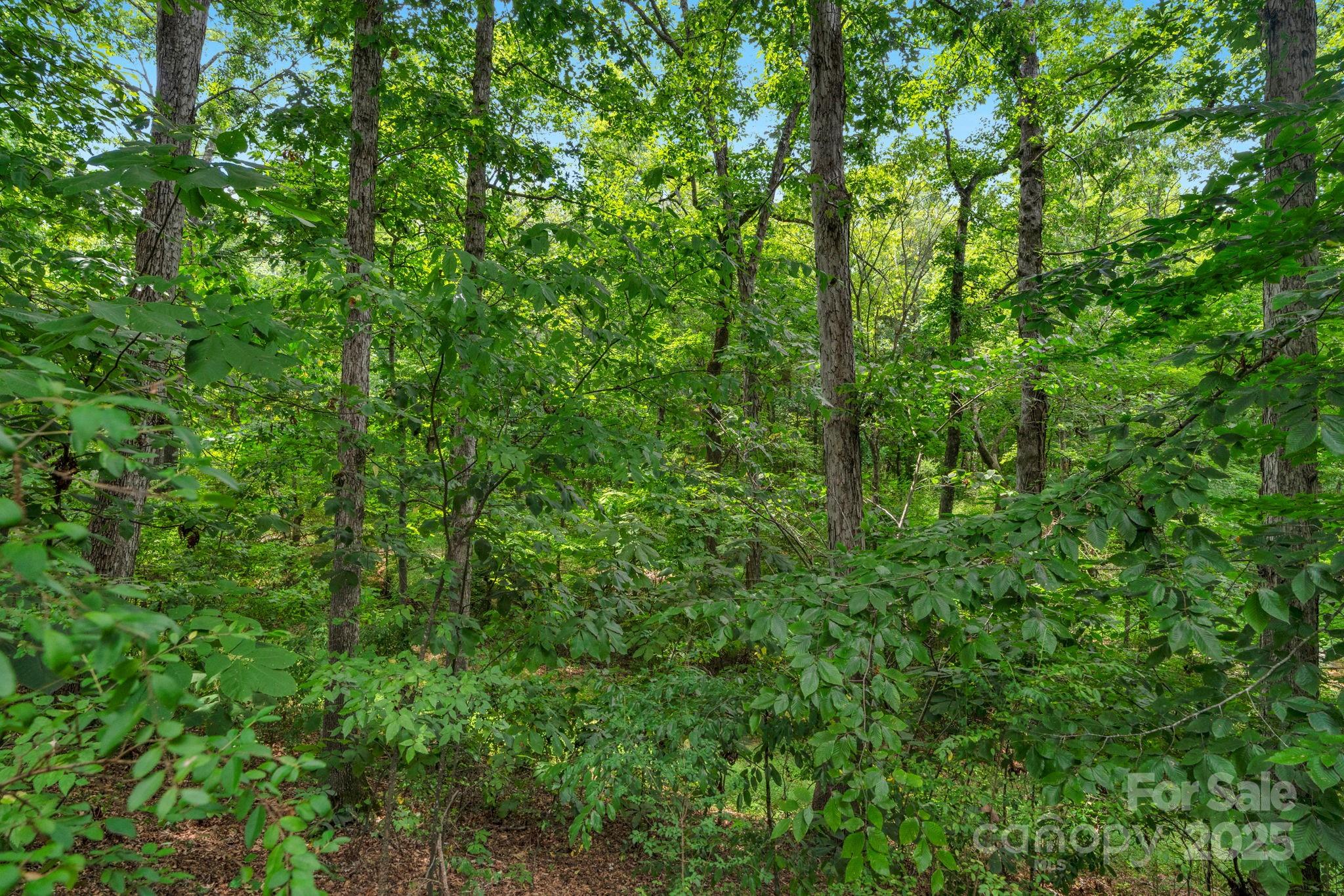 Barbee Farms - Residential