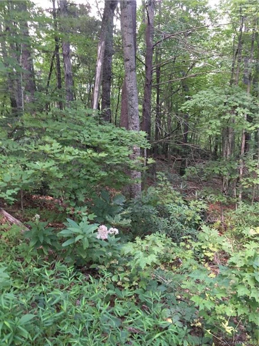 Two unusually good building lots being sold together, 2.2 acres total. Wooded lots with winter views. 20 minutes to Asheville.