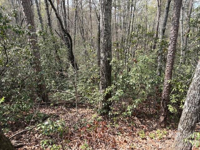 Riverbend at Lake Lure - Land