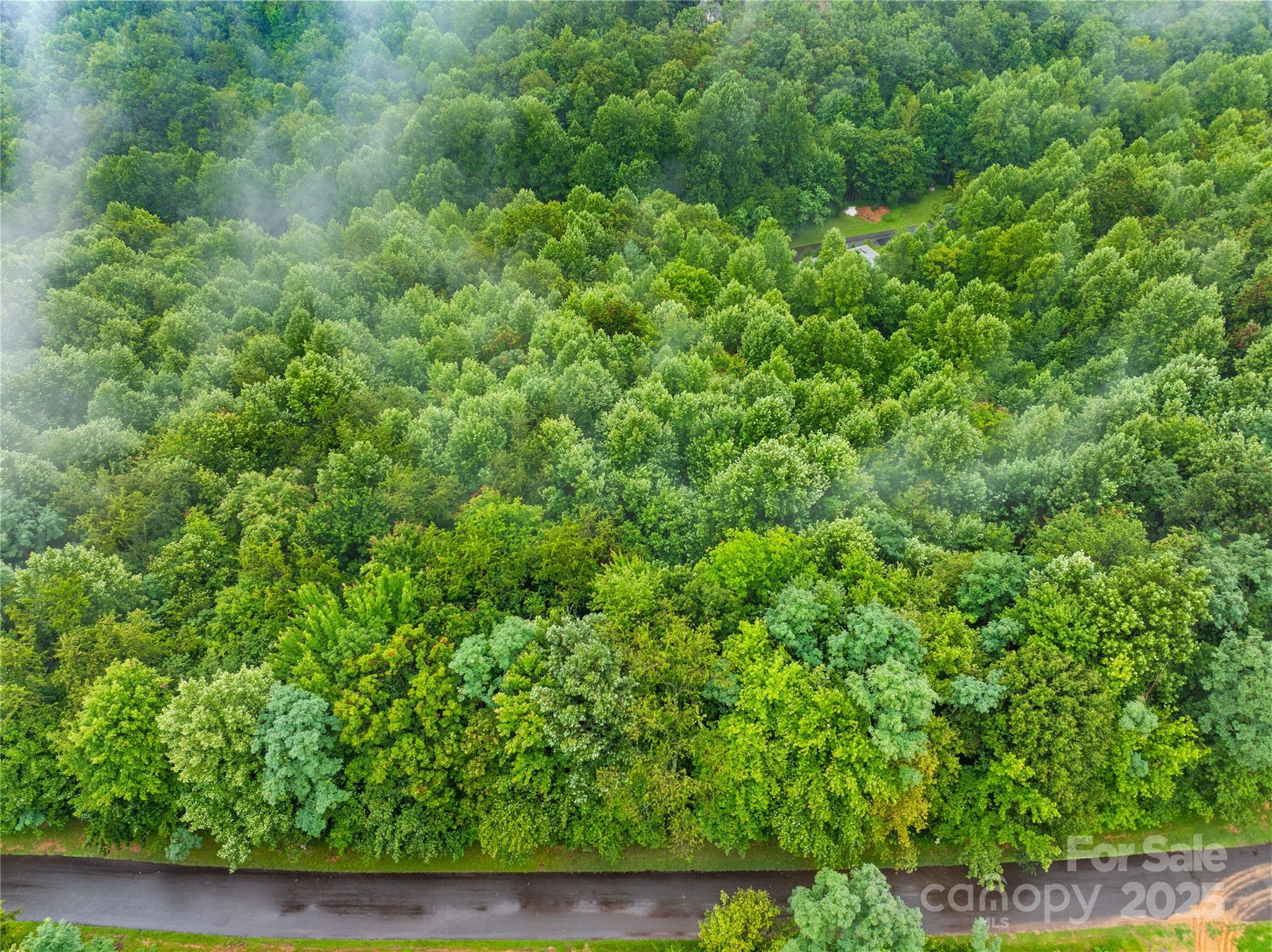 Catawba Falls Preserve - Land