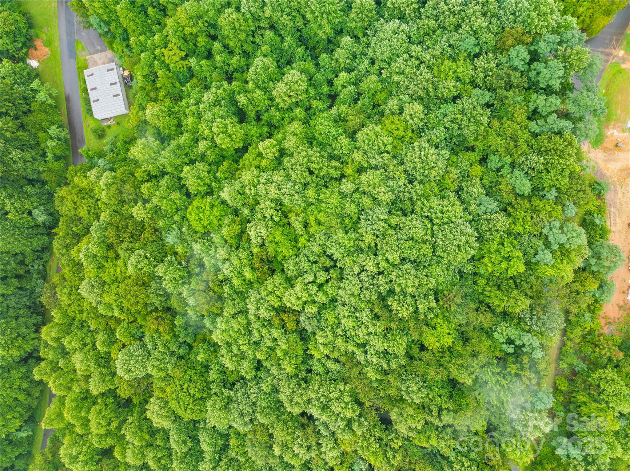 Catawba Falls Preserve - Land
