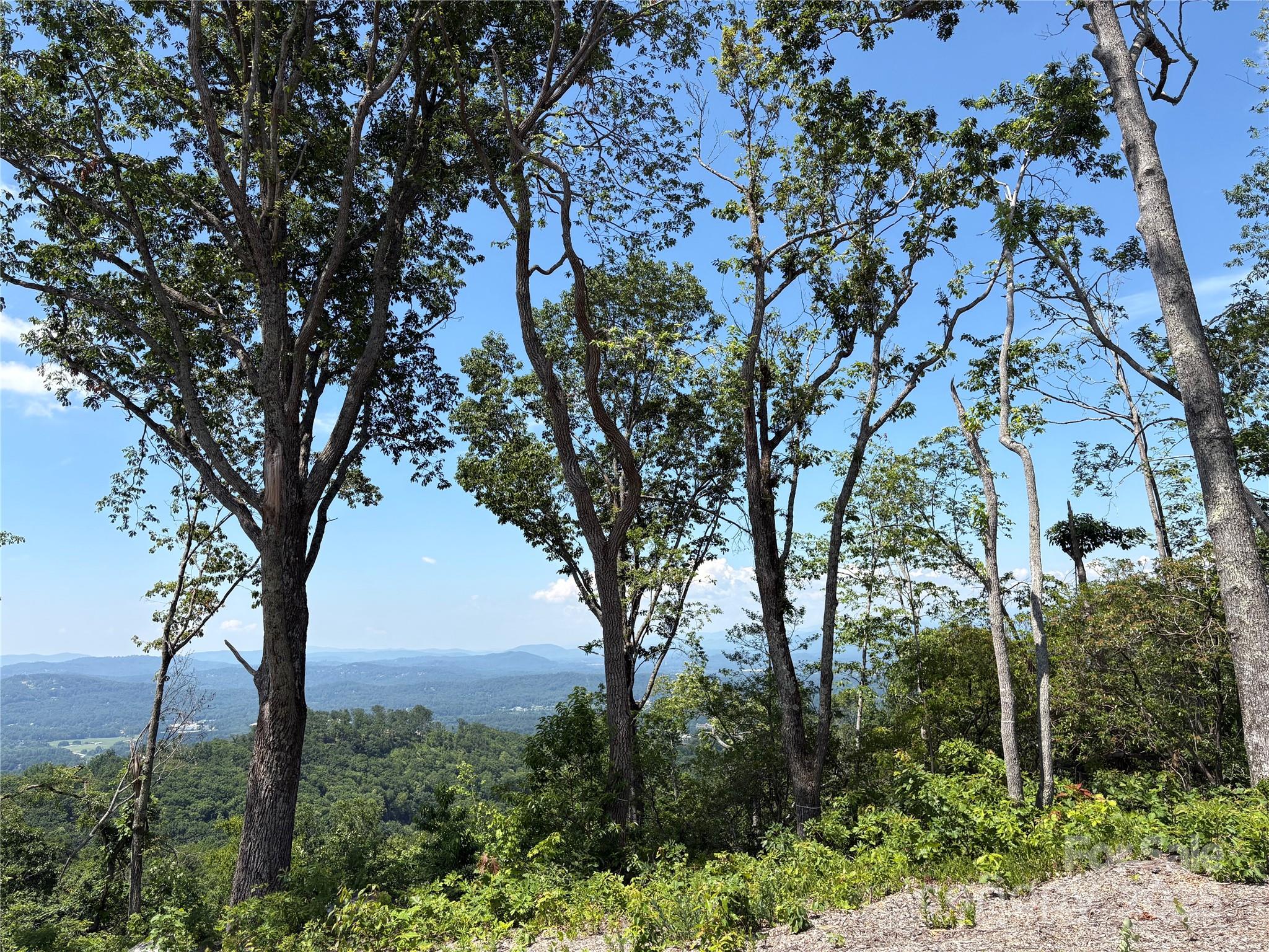 Lot 50 Mountain Grove Lane 50