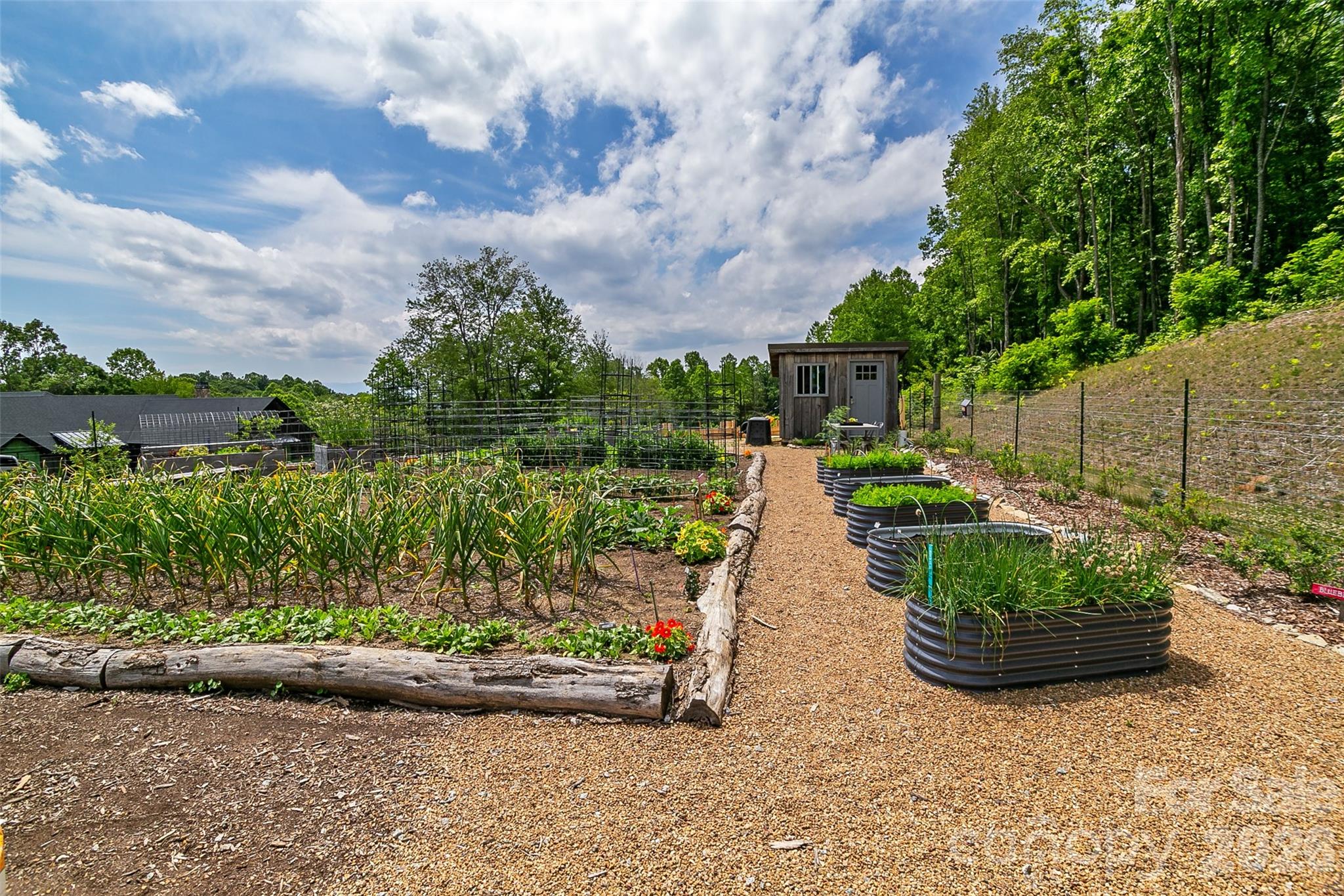 Couch Mountain - Land