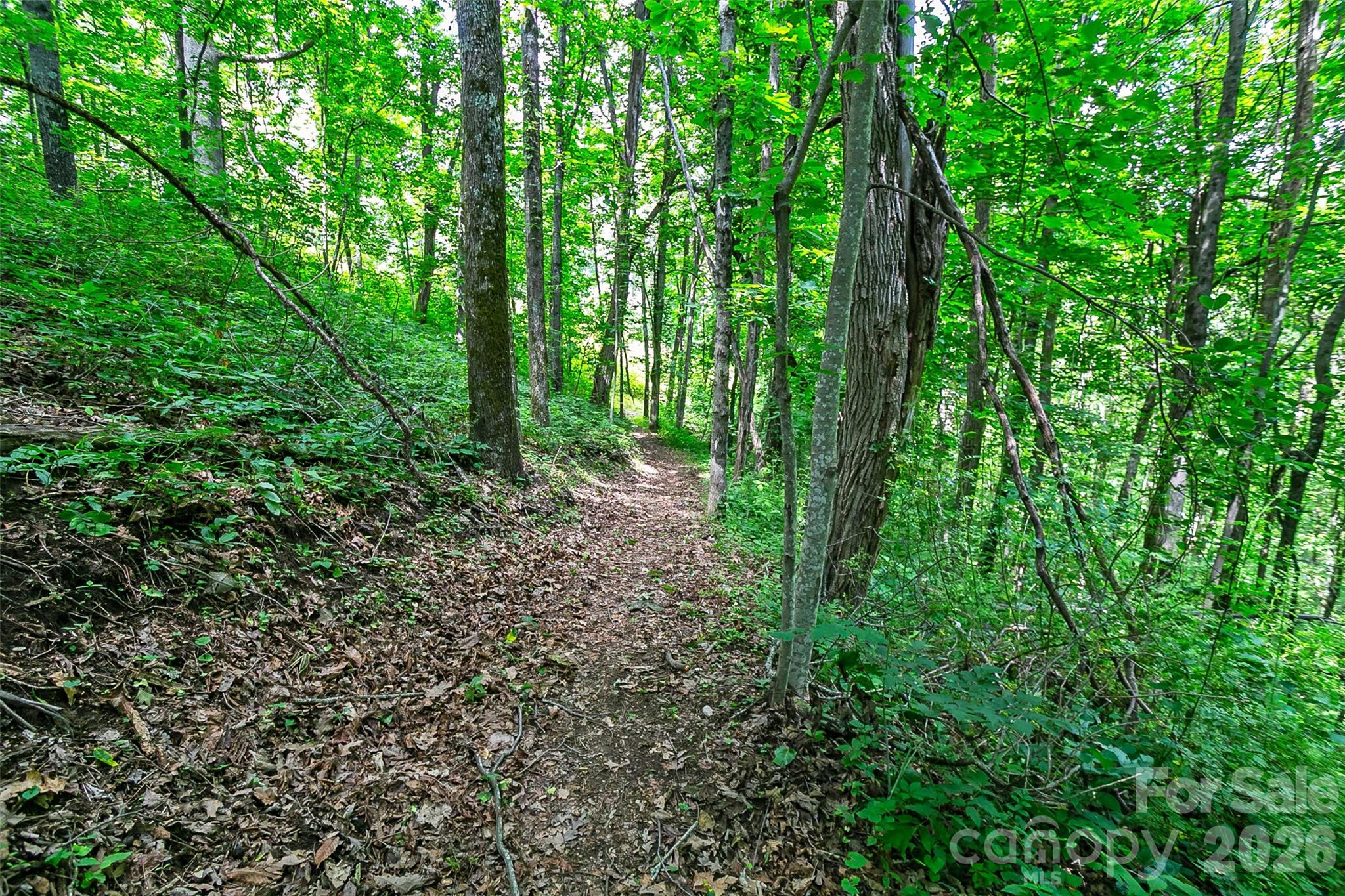 Couch Mountain - Land