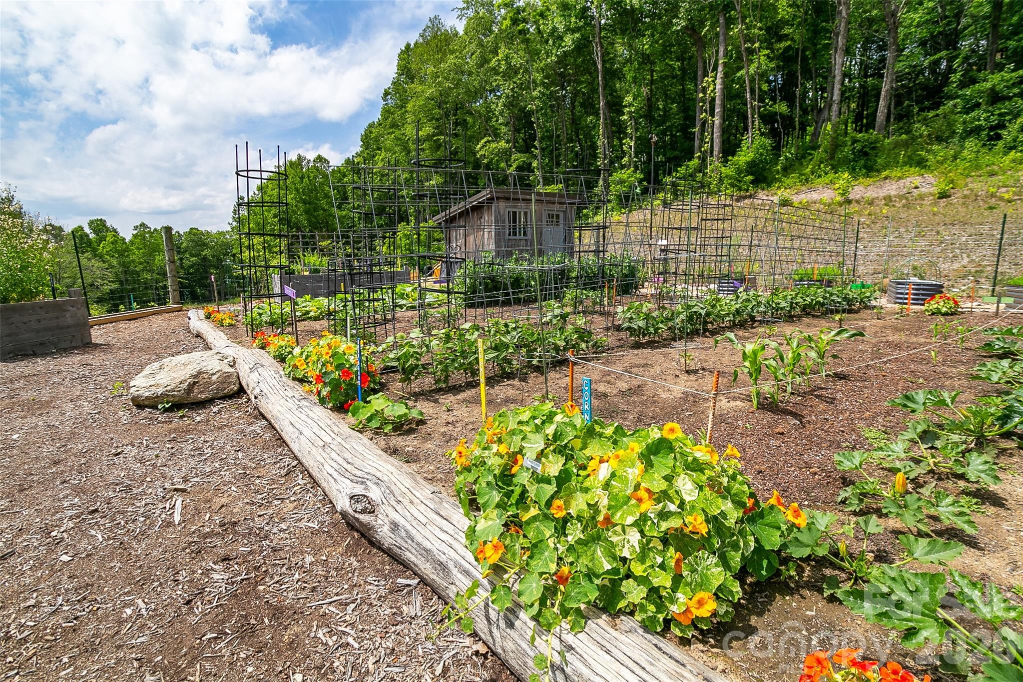 Couch Mountain - Land