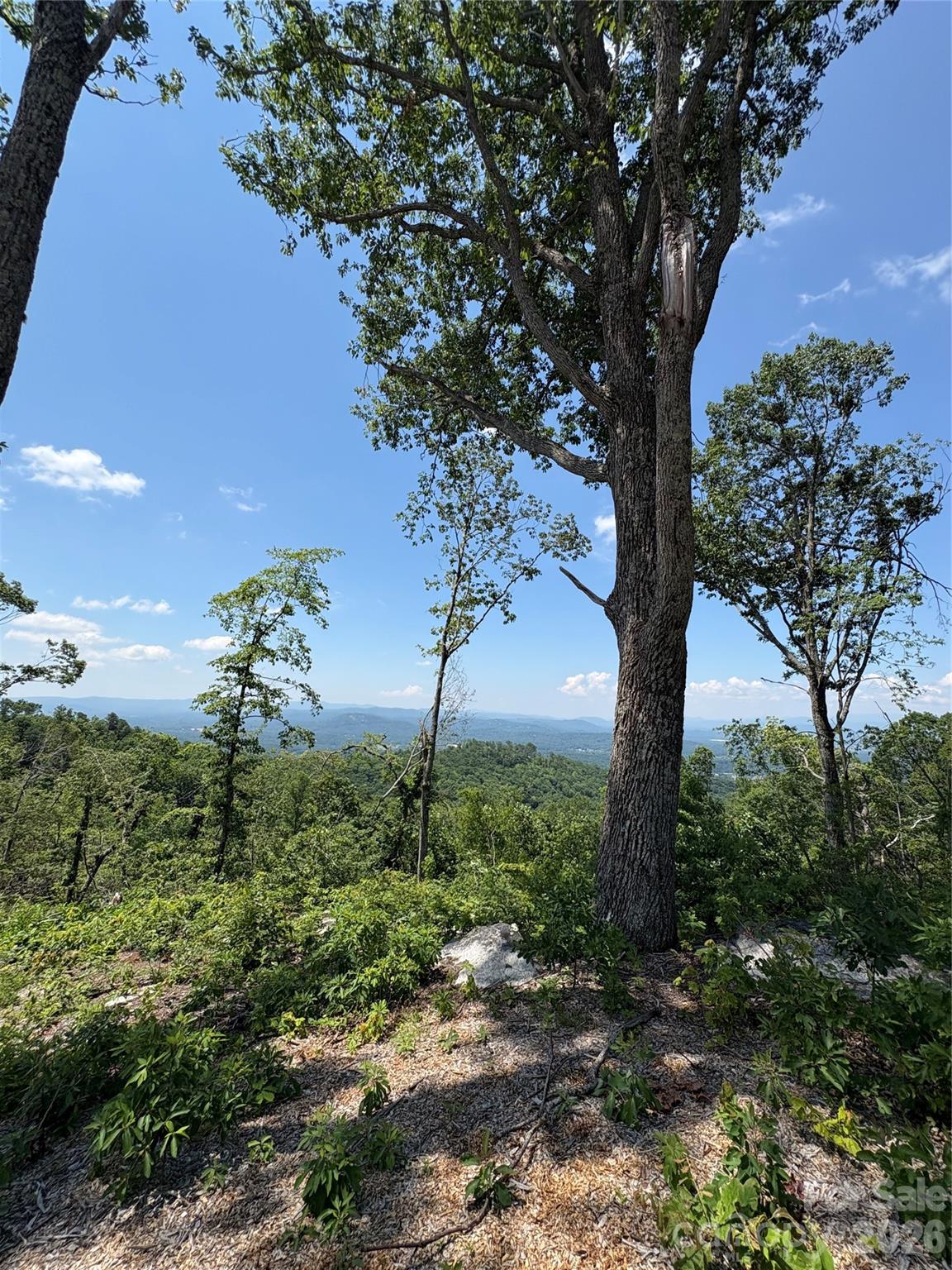Couch Mountain - Land