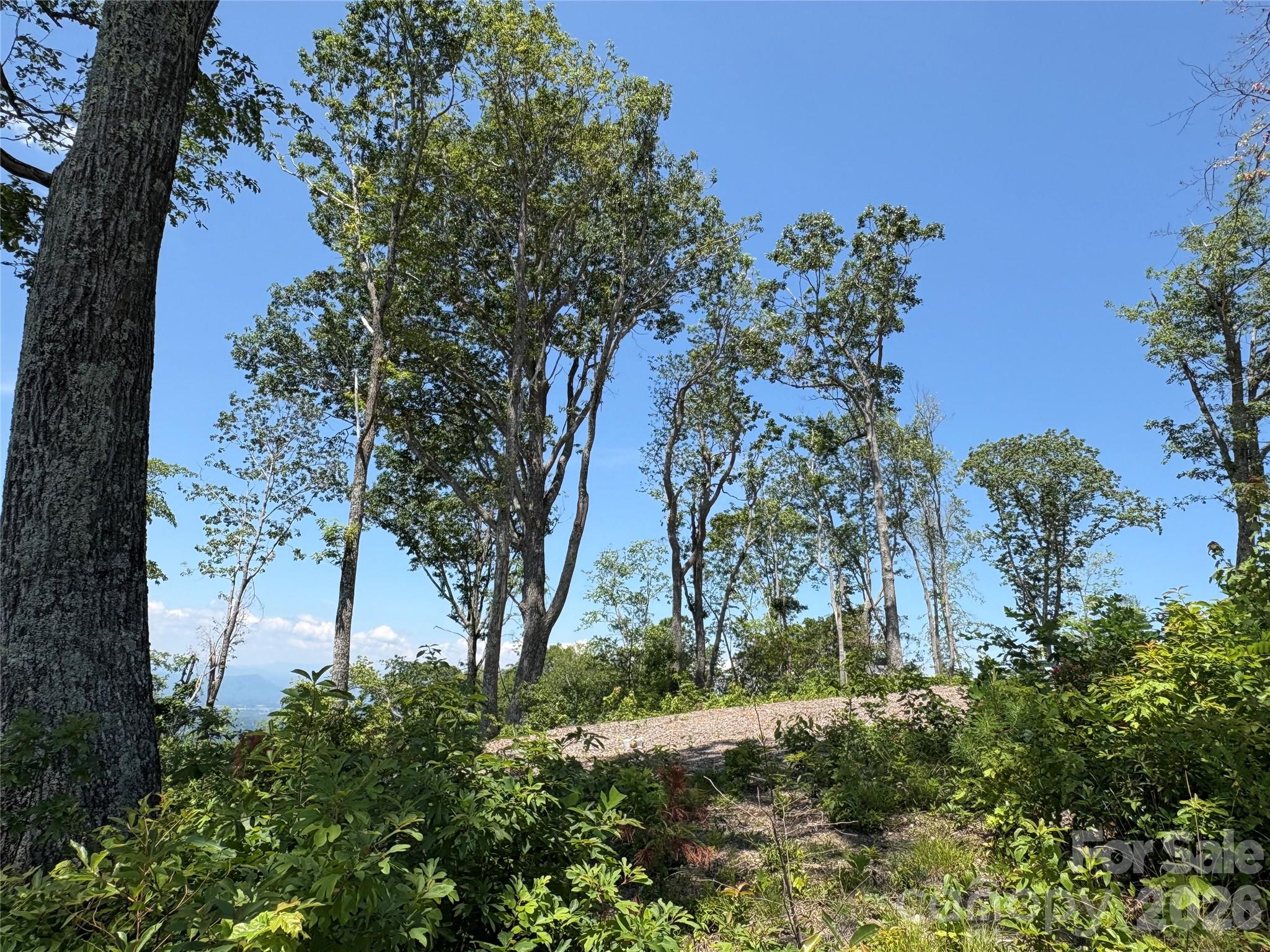 Couch Mountain - Land