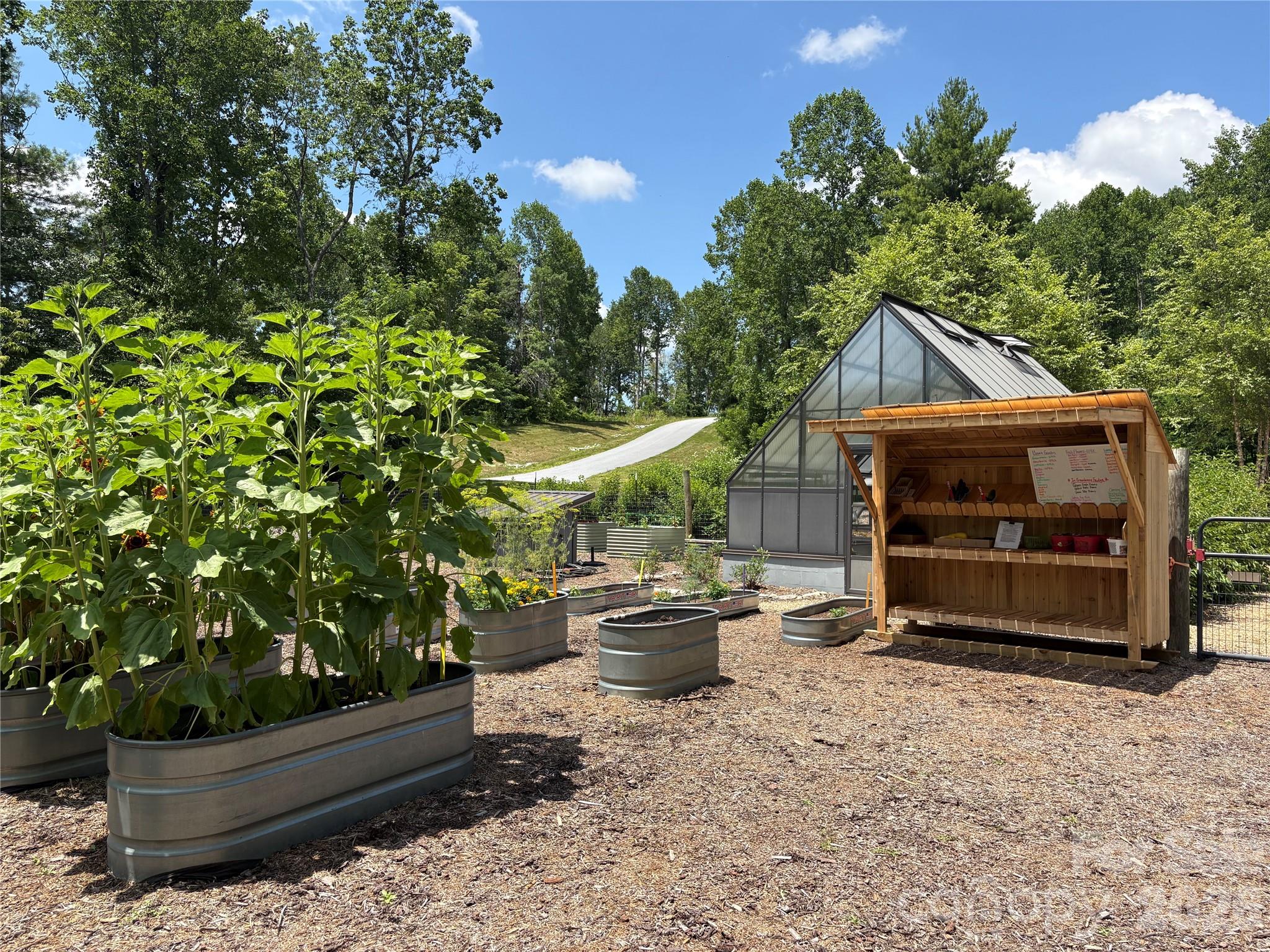 Couch Mountain - Land