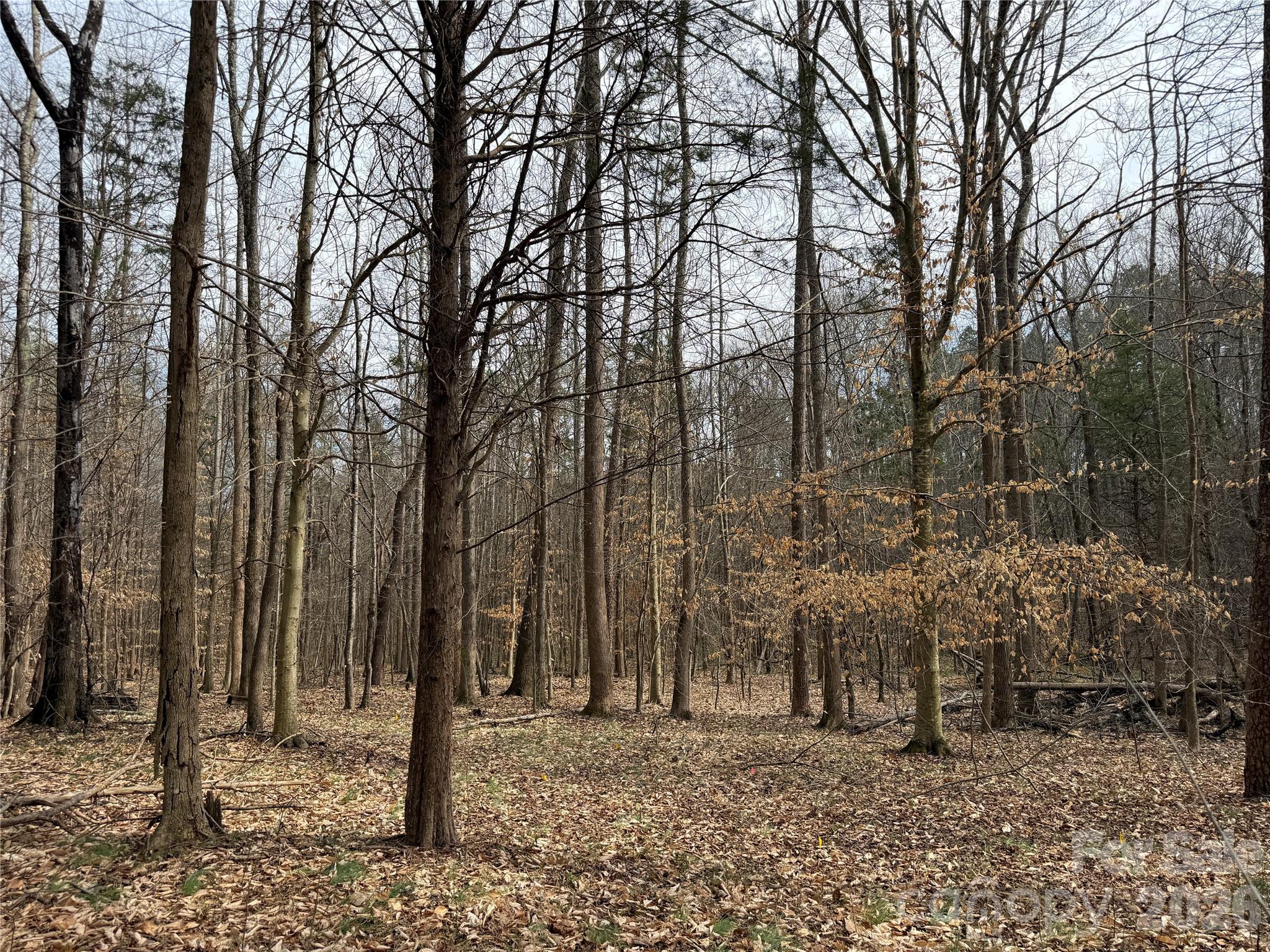 Frazier Acres - Residential