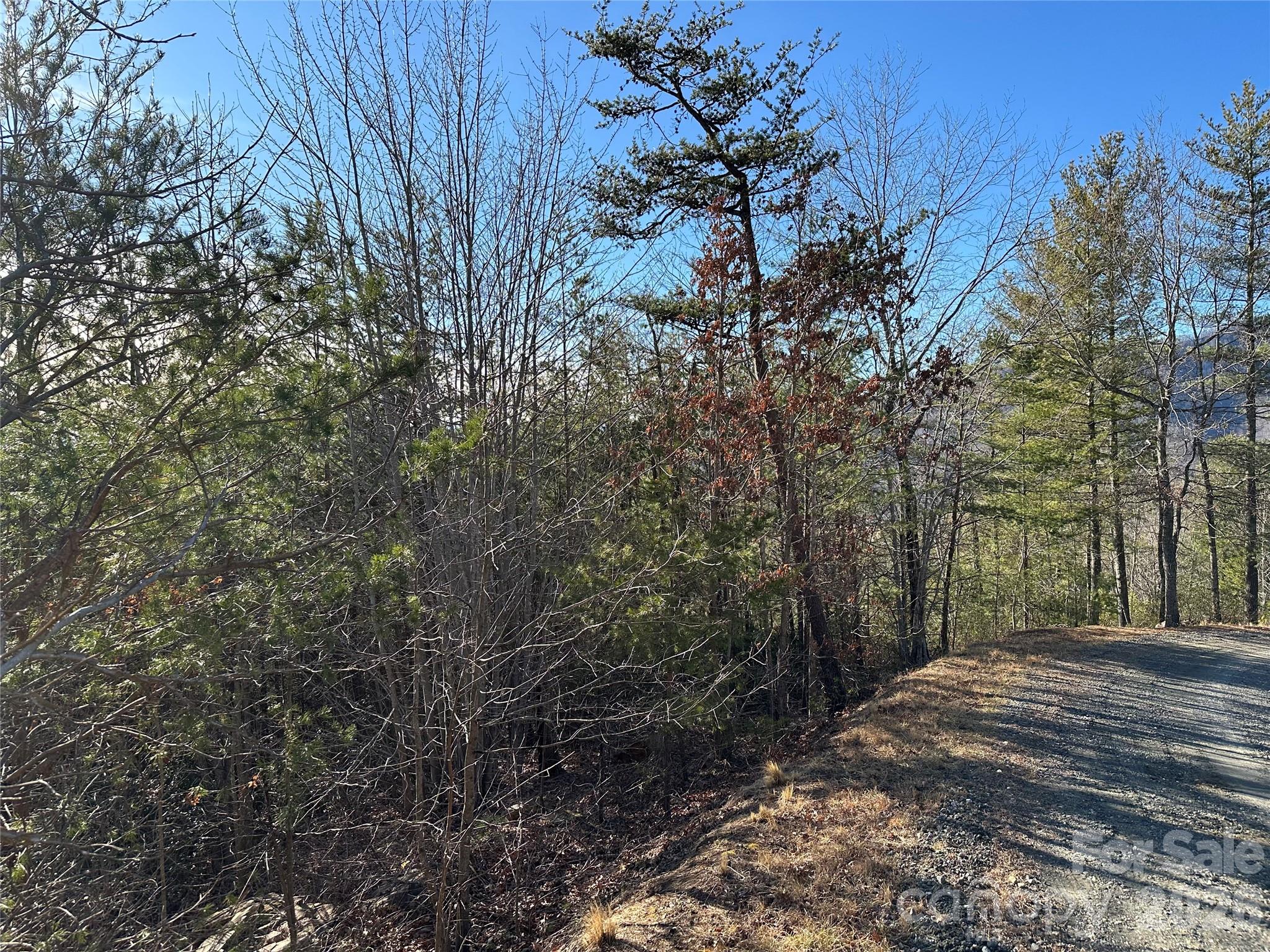 000 Fox Ridge Trail 57