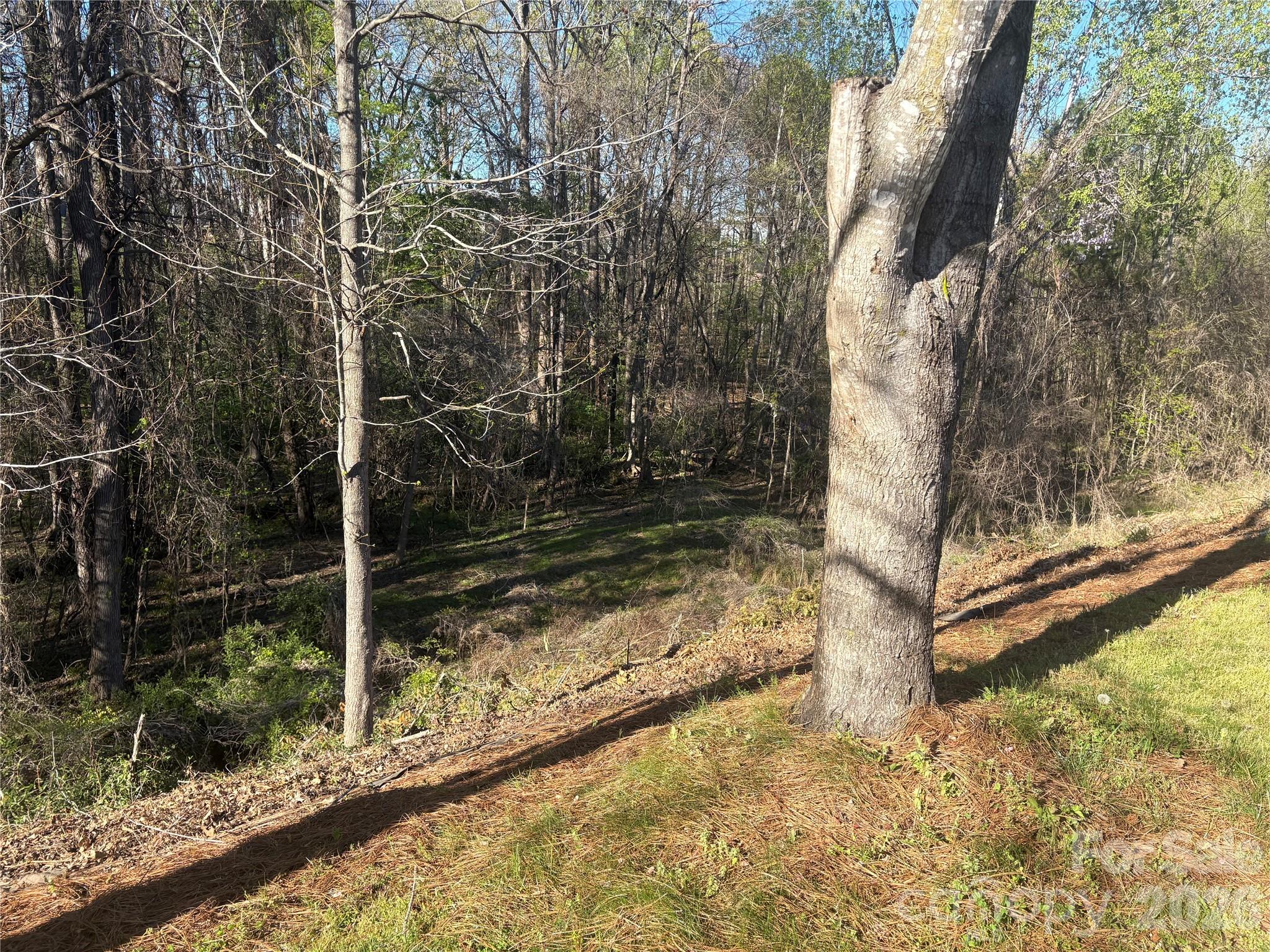 Regent Park - Residential