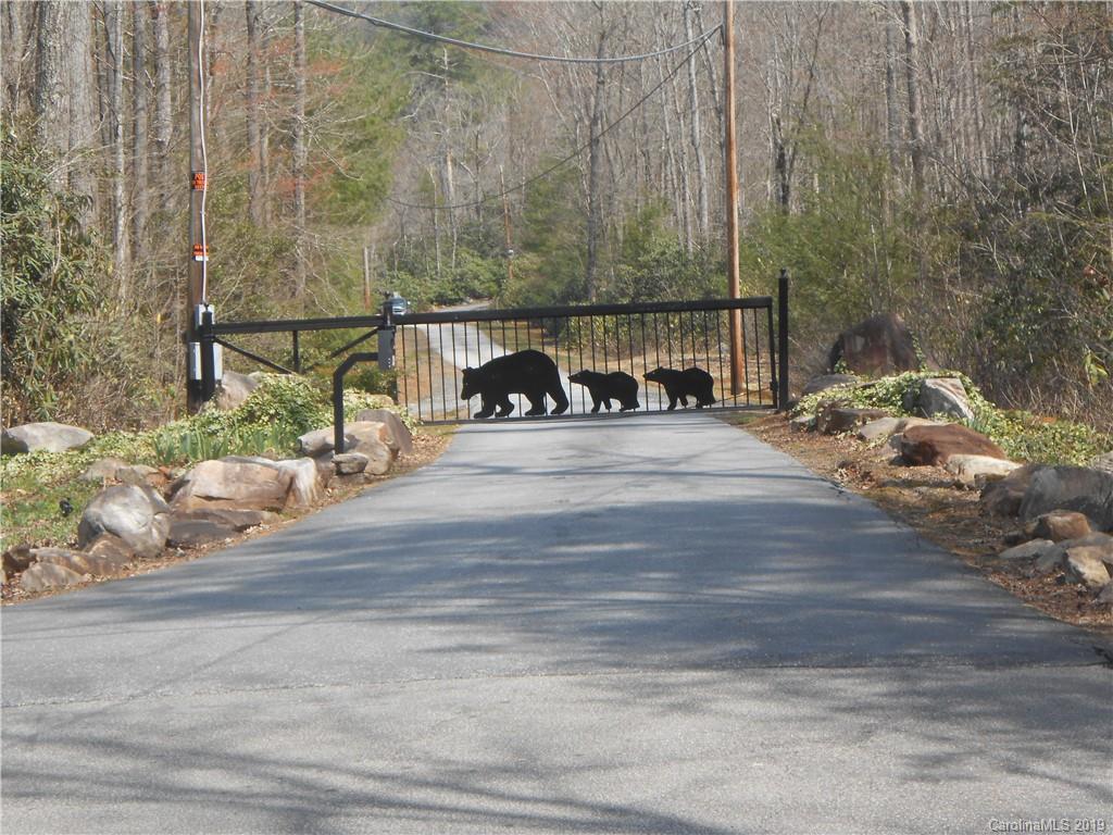 Linville Forest - Land