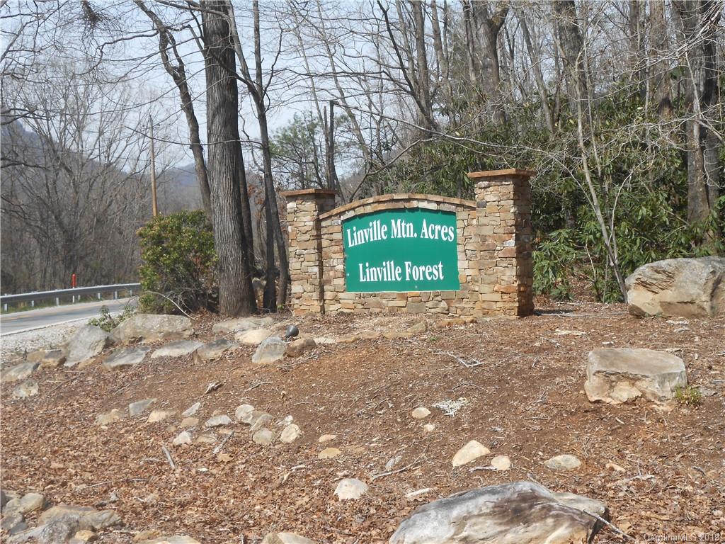 Linville Forest - Land