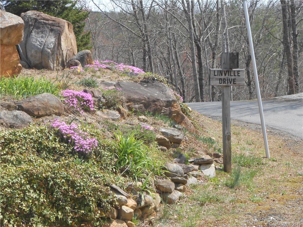 Linville Forest - Land