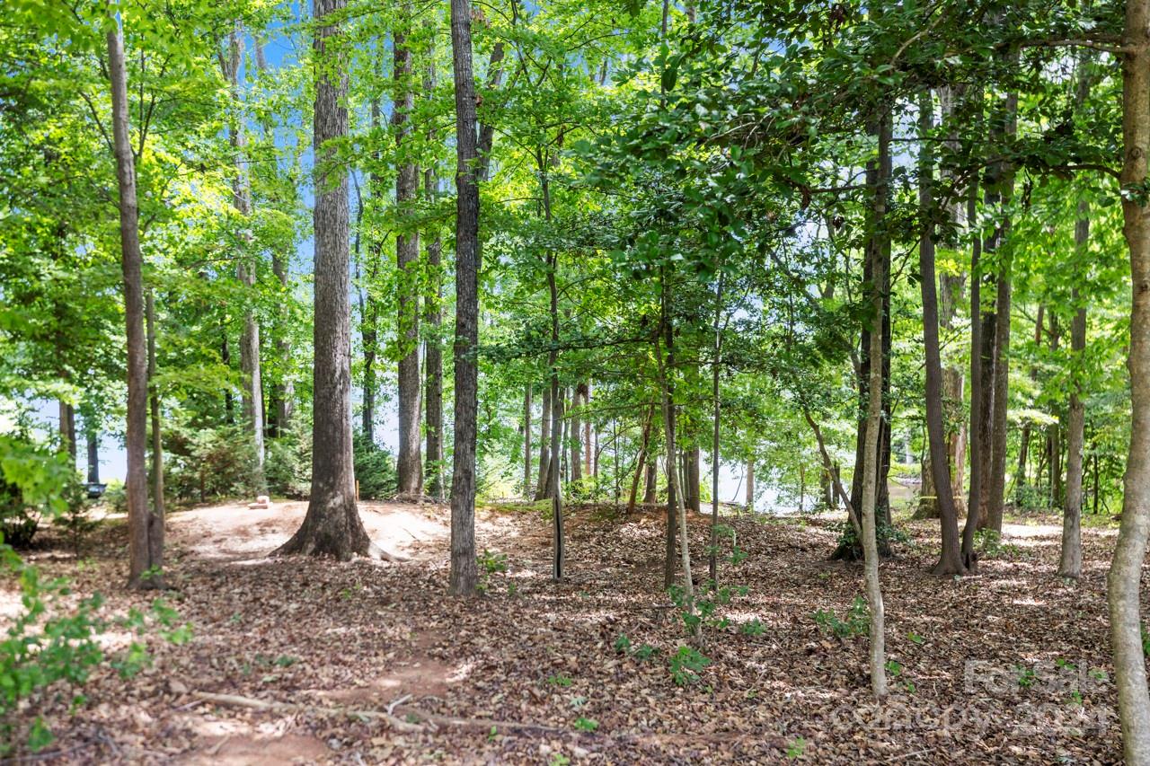 Jetton Crossing - Residential