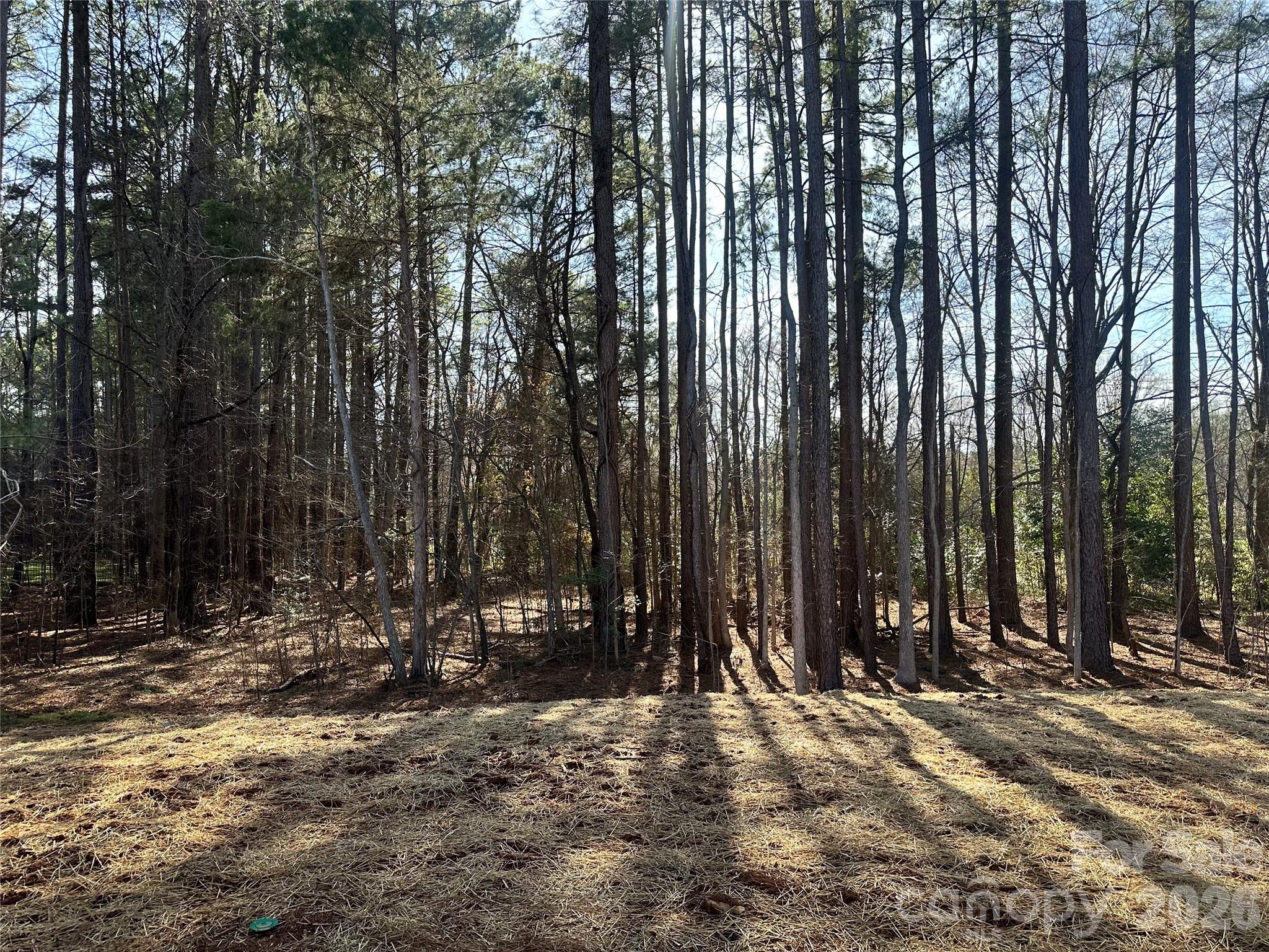 Forest Glen - Residential