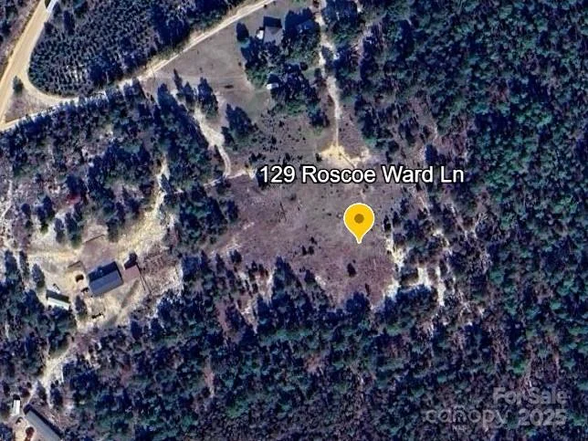 129 Roscoe Lane, Patrick, SC, 29584