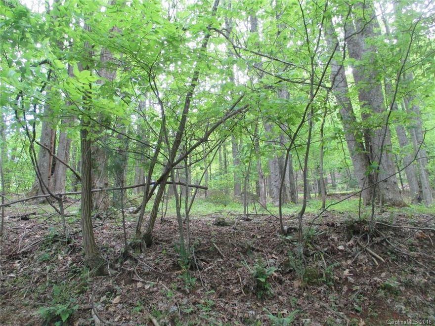 Beautiful/Wooded, Corner Bldg. Lot Located in Desirable/Gated High Vista Golf Community. One of the Nicest Bldg. lots left/Great $ Price.  Avail. Amenities Golf,Clubhouse,Pool, Tennis Courts. HOA,POA & HVCC Separate Entities. Convenient Access to Biltmore House, Arboretum, Flat Rock Playhouse, Carl Sandburg Home & many other points of interest. Near Asheville Reg. Airport. 4 BD/Rm Septic Permit issued by HCHD 4/17/97.