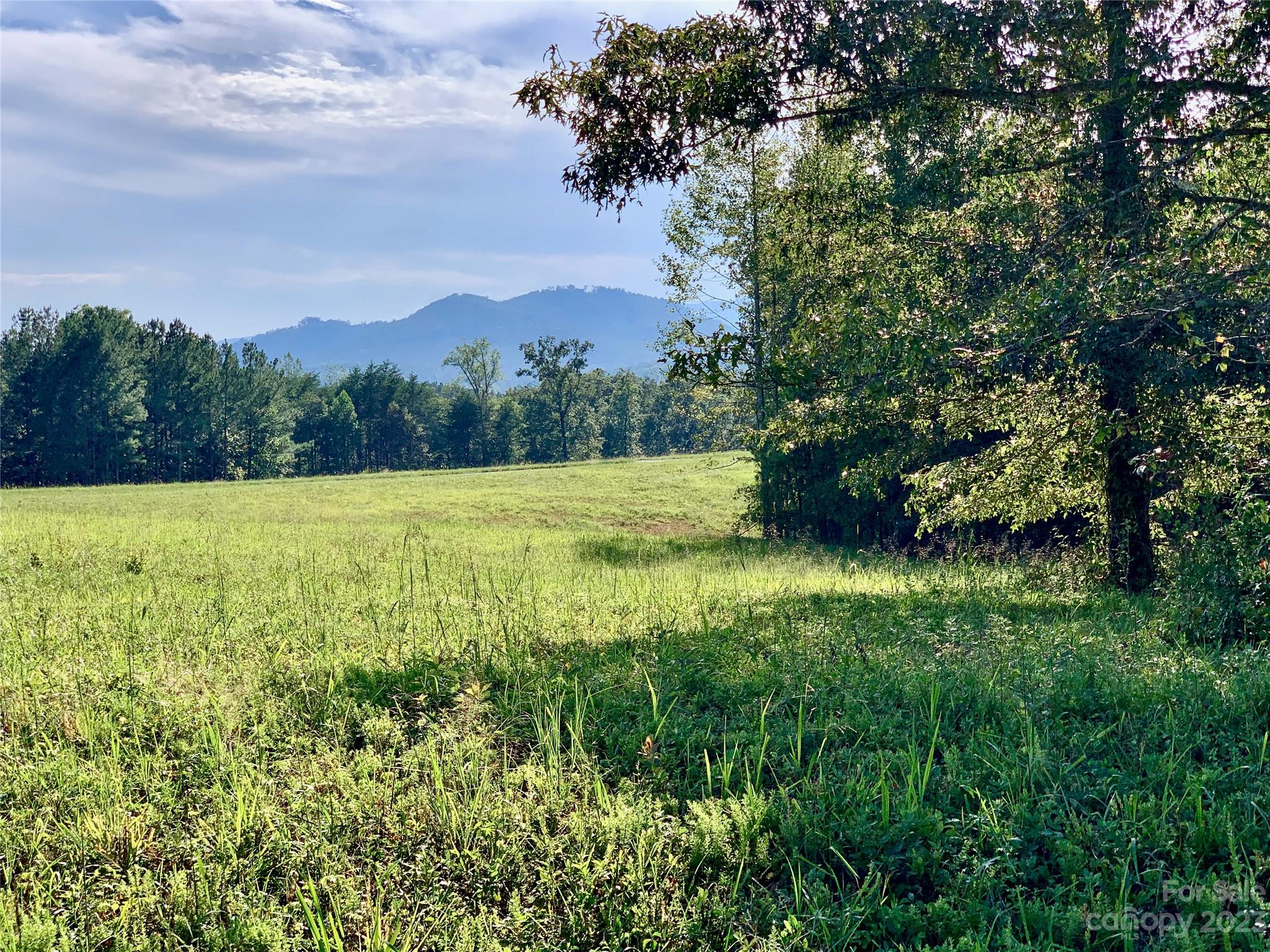 Ole Plantation - Land