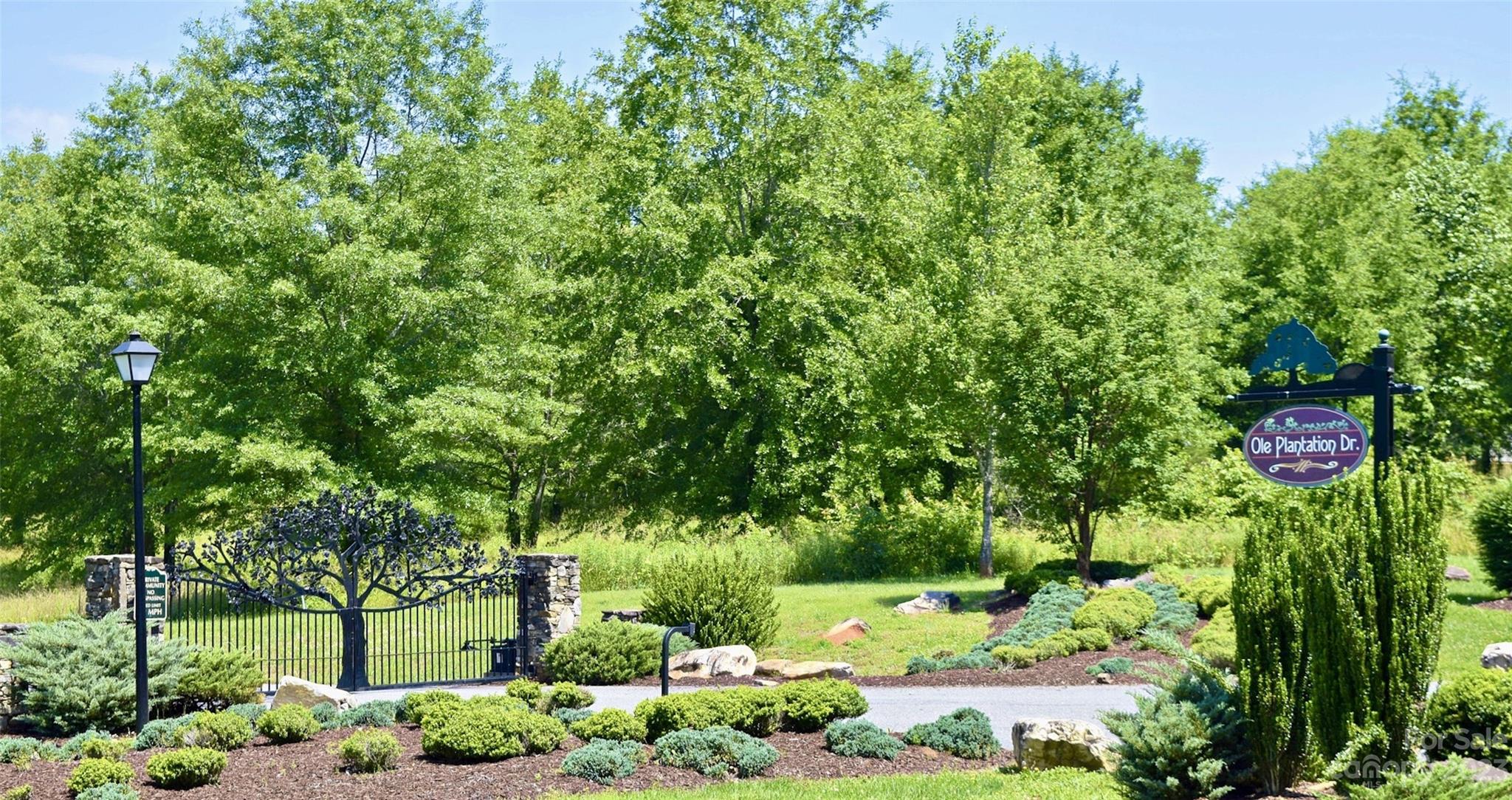 Ole Plantation - Land