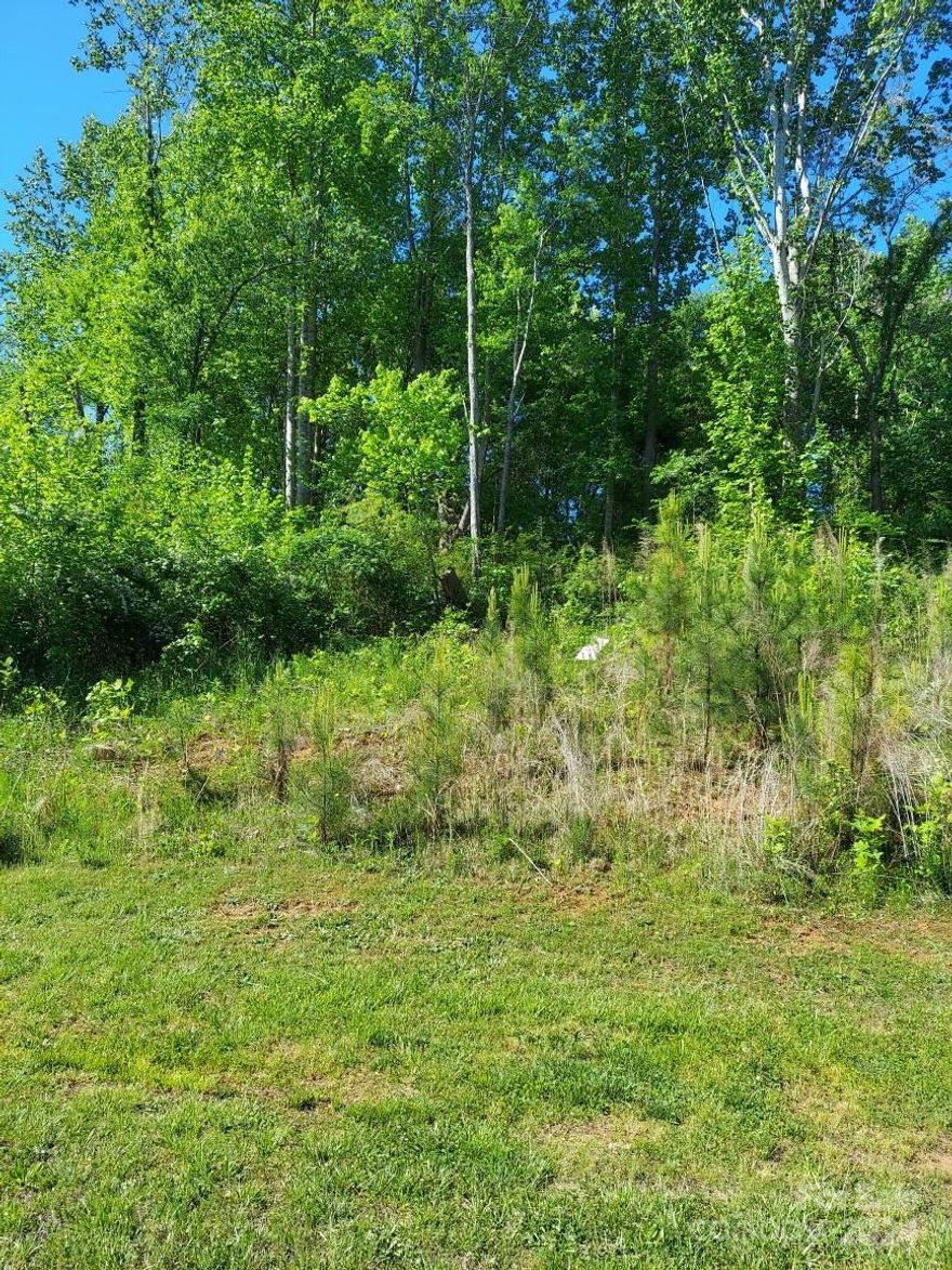 This 1 Acre Wooded lot is screaming your name.  Located in the desired Clover School District. Convenient to York, Clover and Lake Wylie.