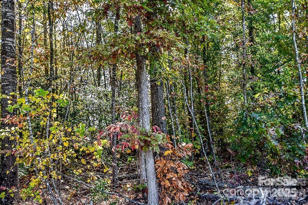 7725 Long Bay Parkway 34