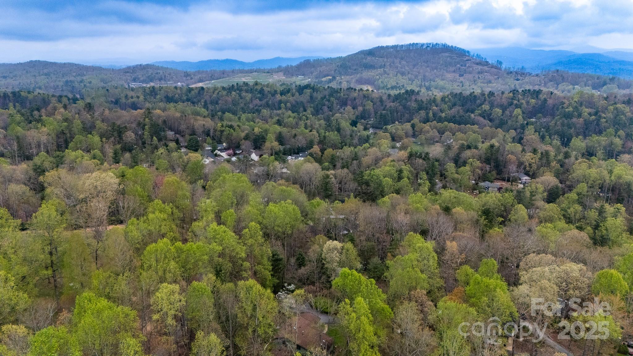 Indian Hill - Residential