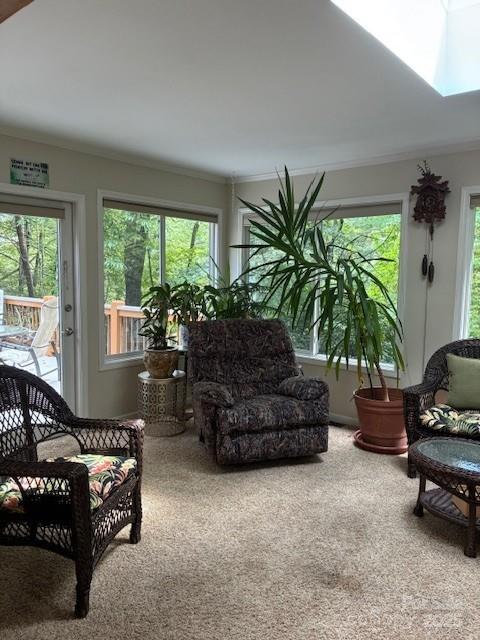 Connestee Falls - Residential