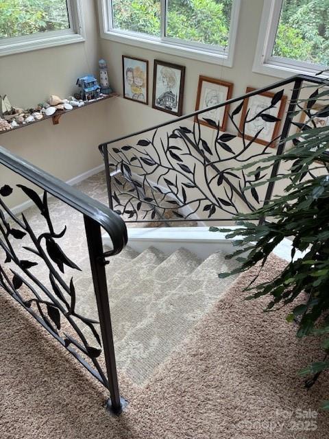 Connestee Falls - Residential