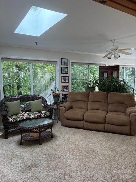 Connestee Falls - Residential