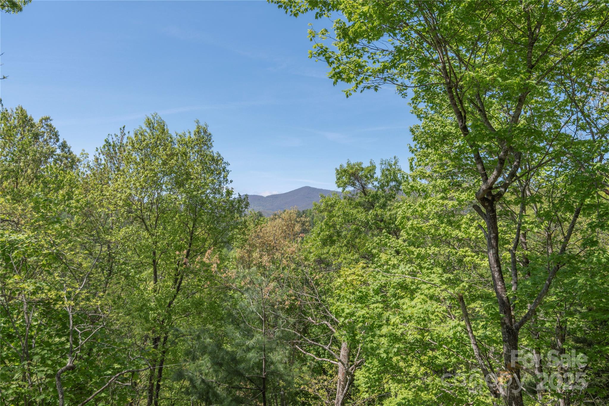 Smoky Mountain Retreat at Ridgewood Estates - Residential