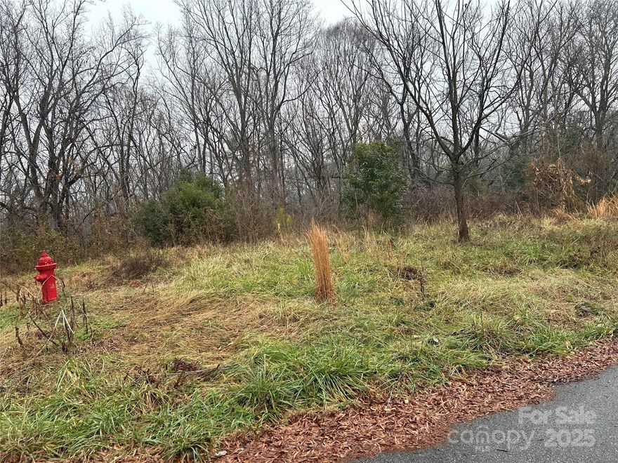 Great building lot for that new home. Just off main st (Hwy 29) and only a few blocks to schools, dining and more. Approx 2-3 miles from I-85 and Hwy 5