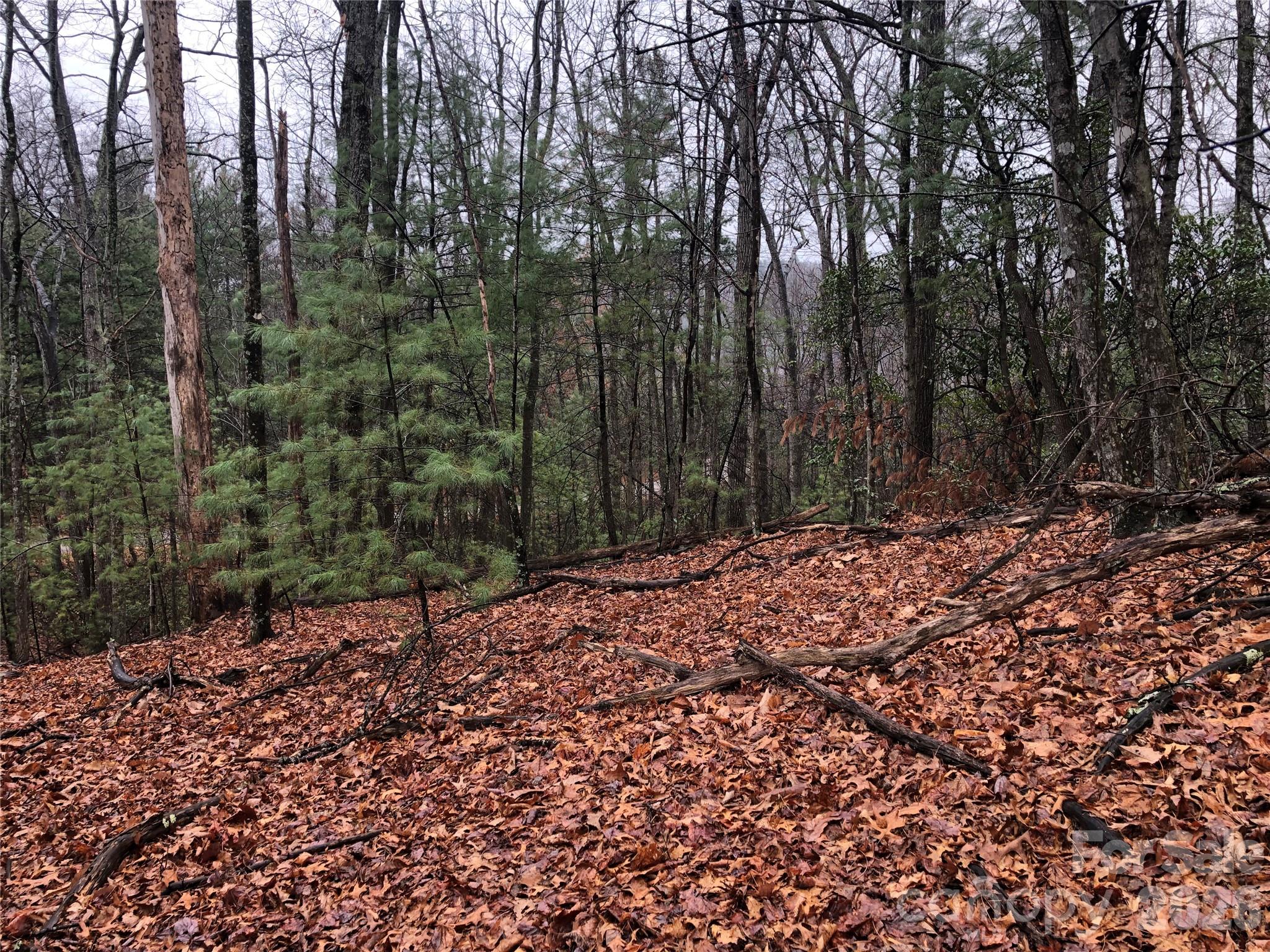 Buck Mountain - Land