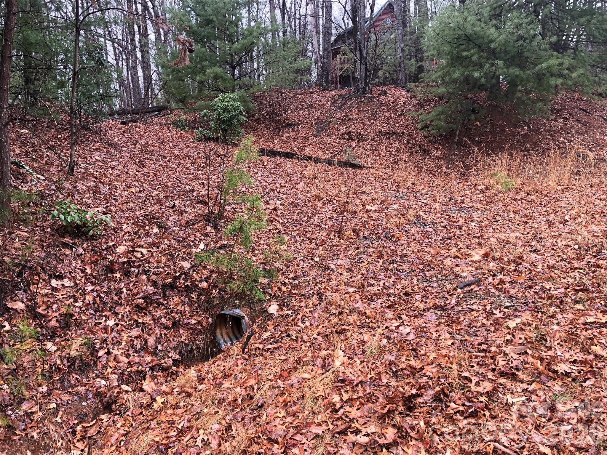 Buck Mountain - Land