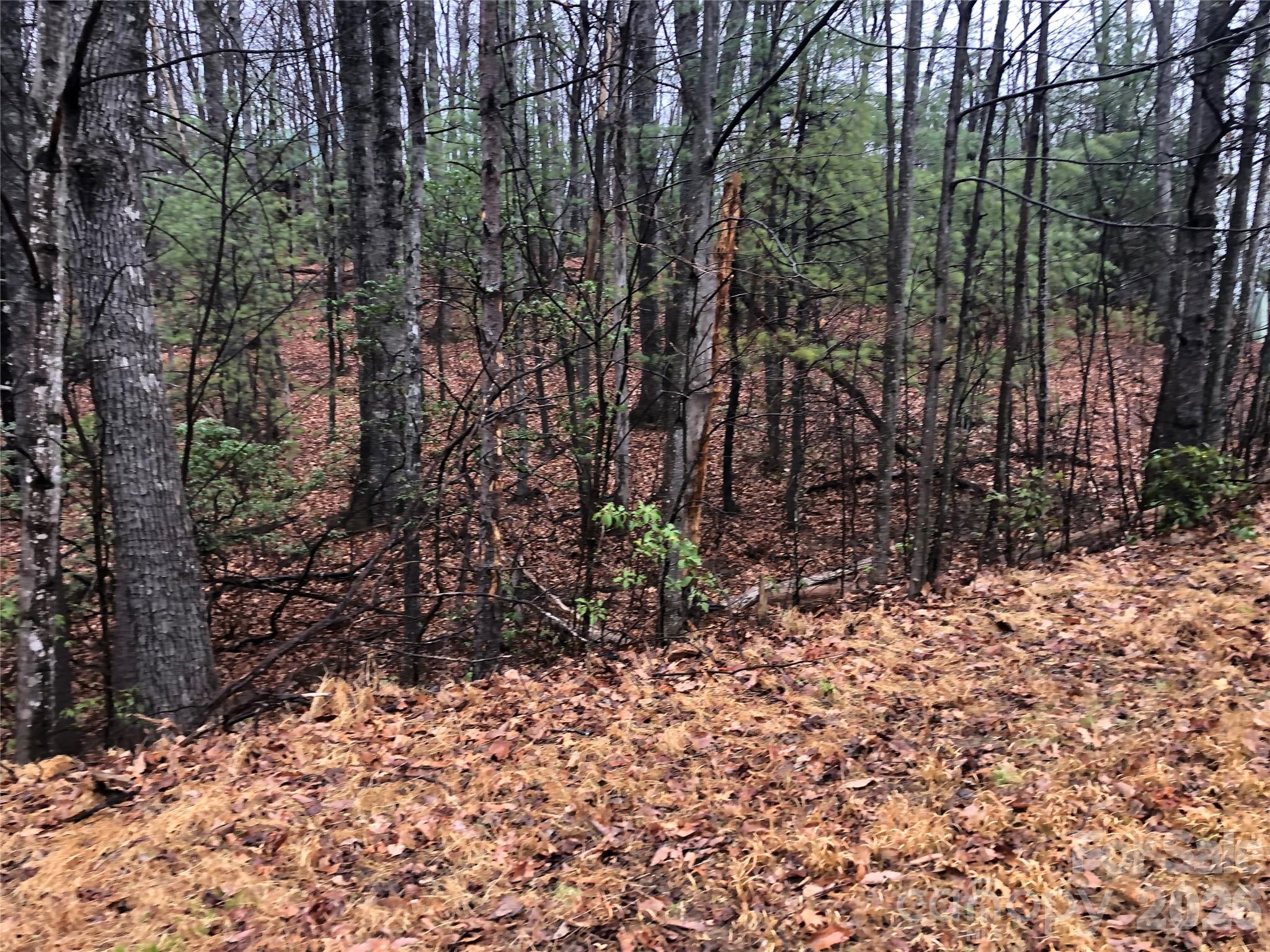 Buck Mountain - Land