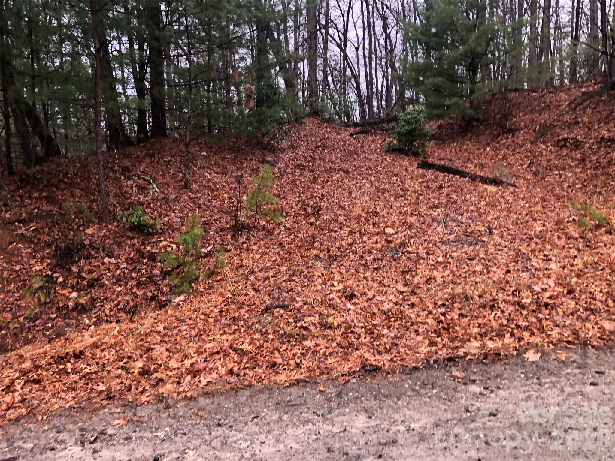 Buck Mountain - Land