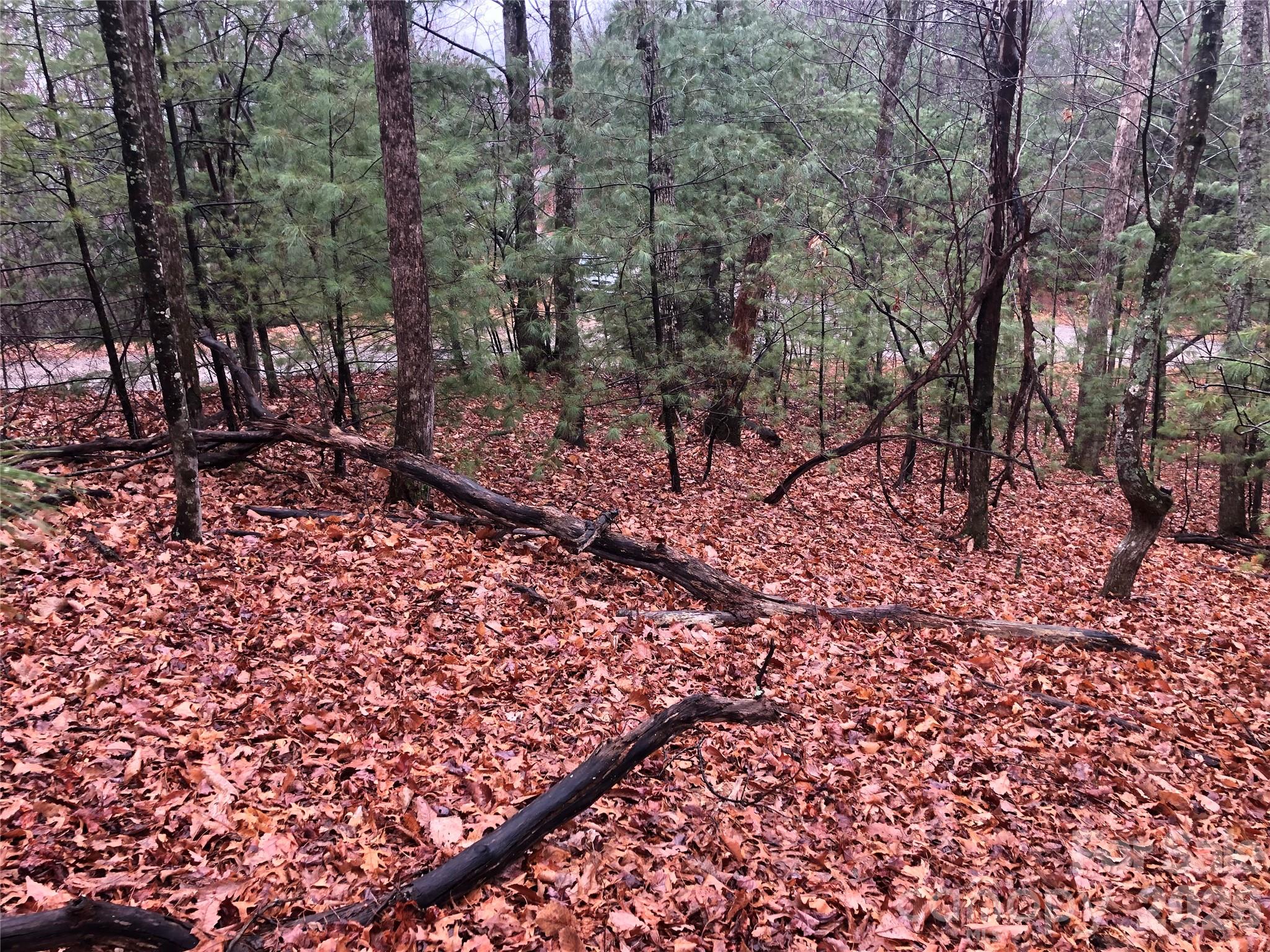 Buck Mountain - Land