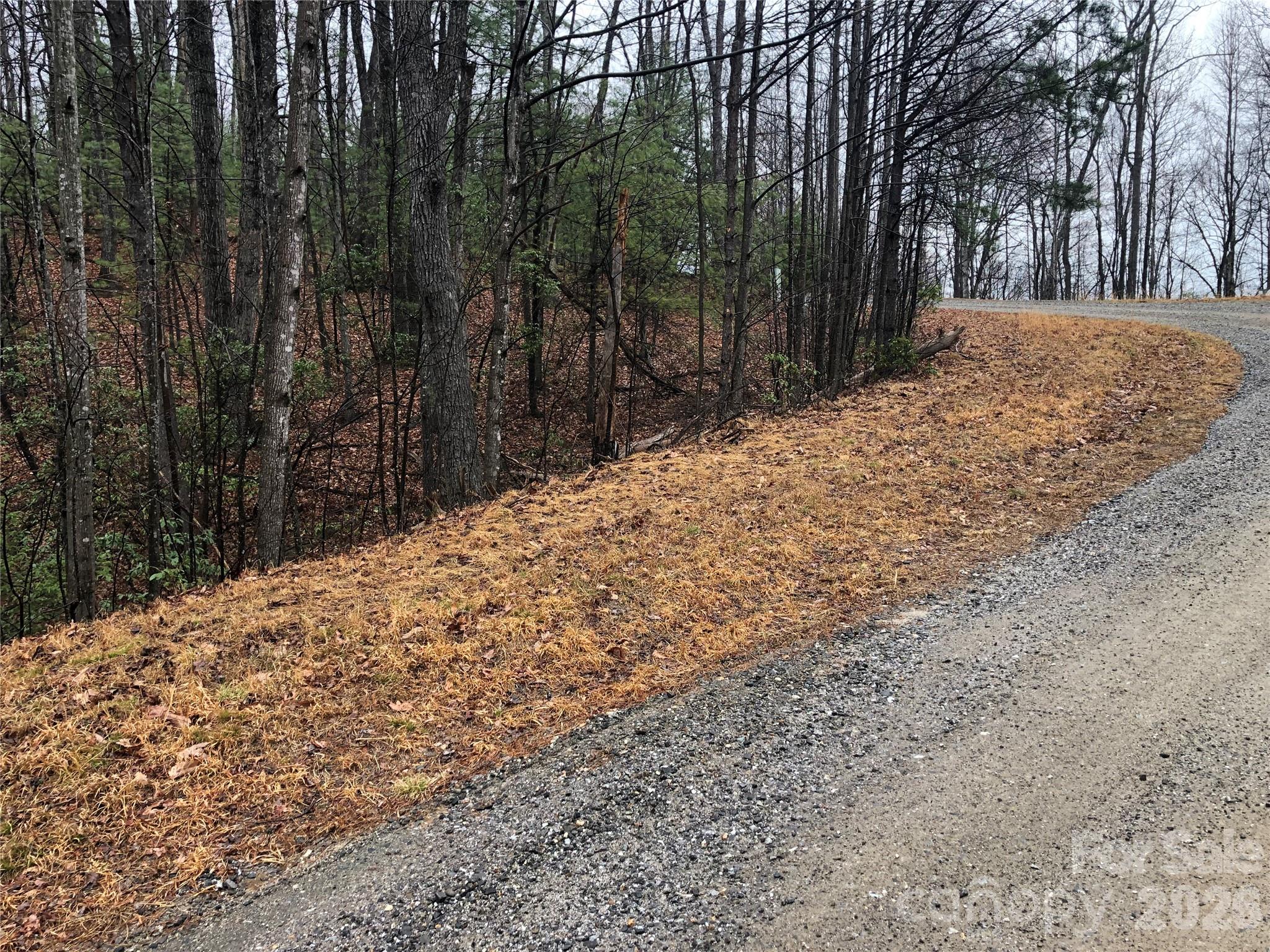 Buck Mountain - Land