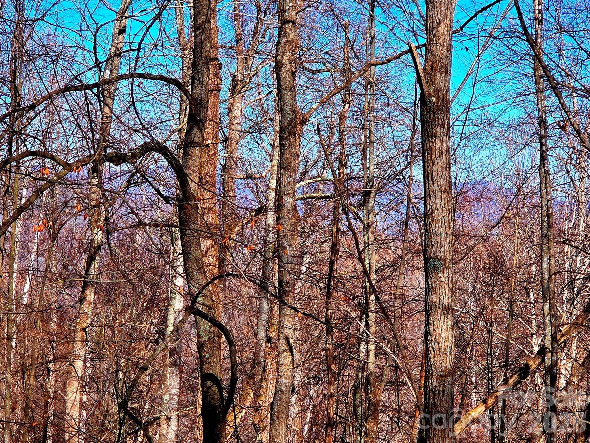 Cataloochee Ranch Estates - Land